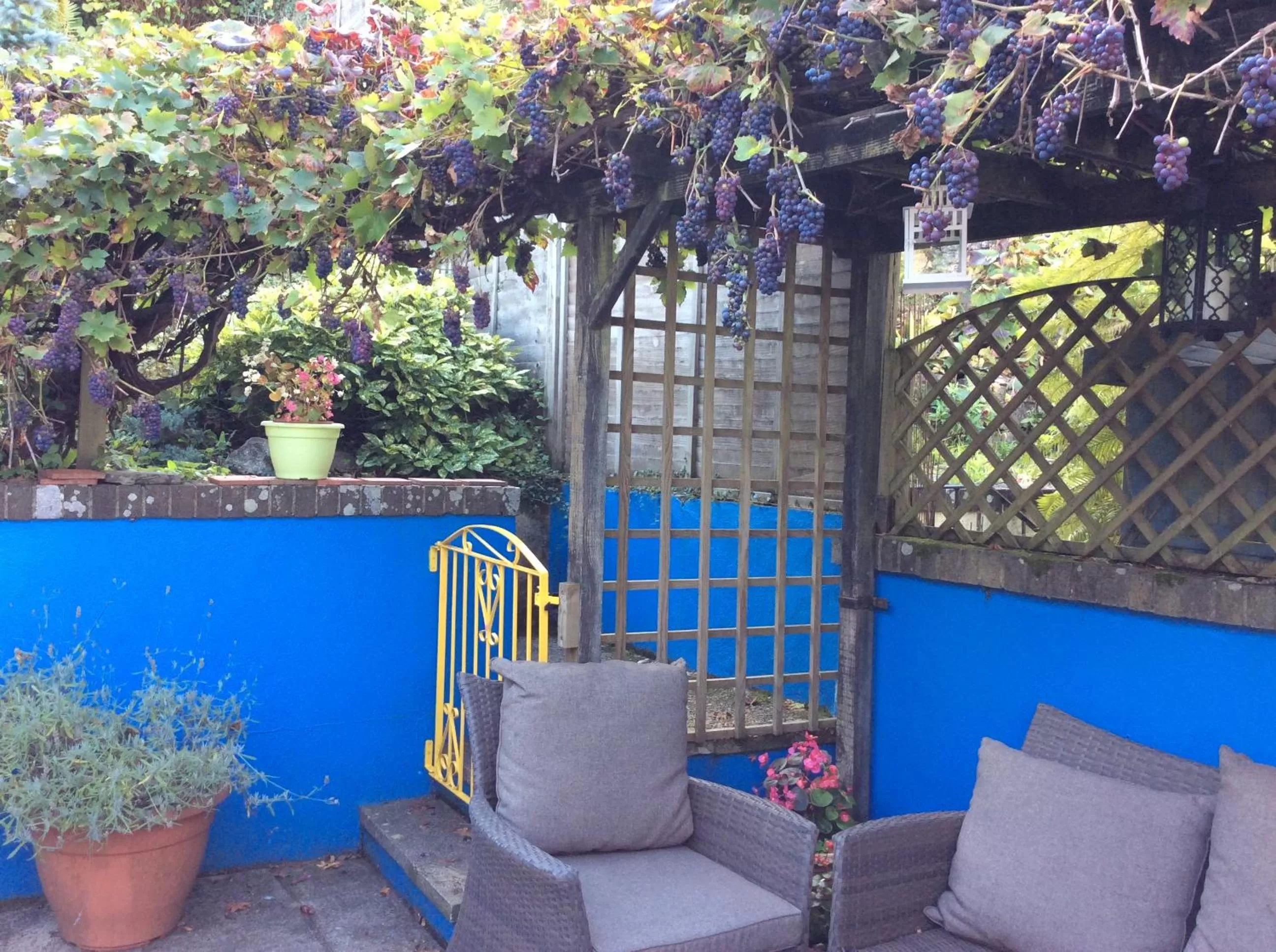 Garden in The Great Grubb