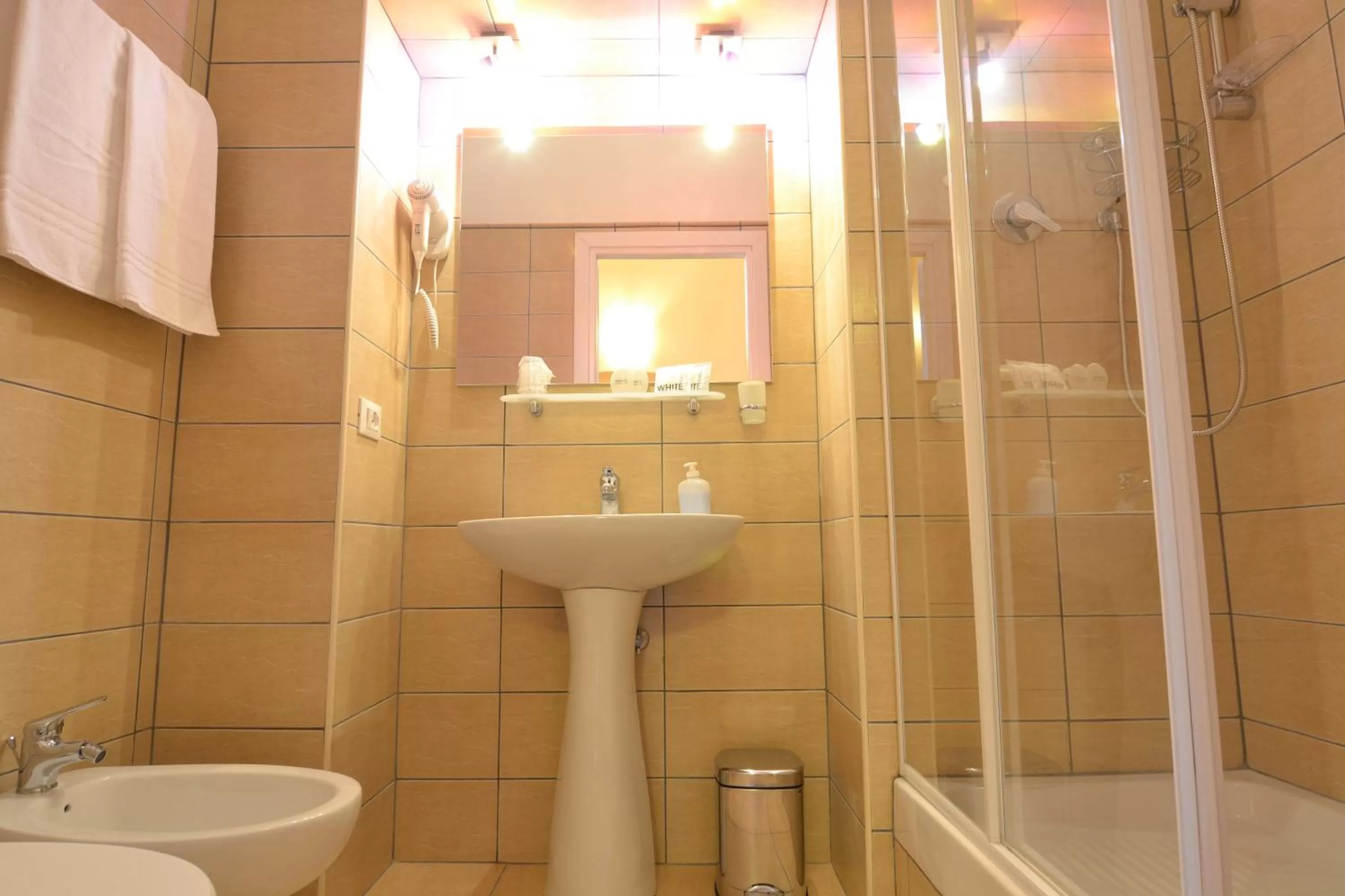 Bathroom in Vatican Town