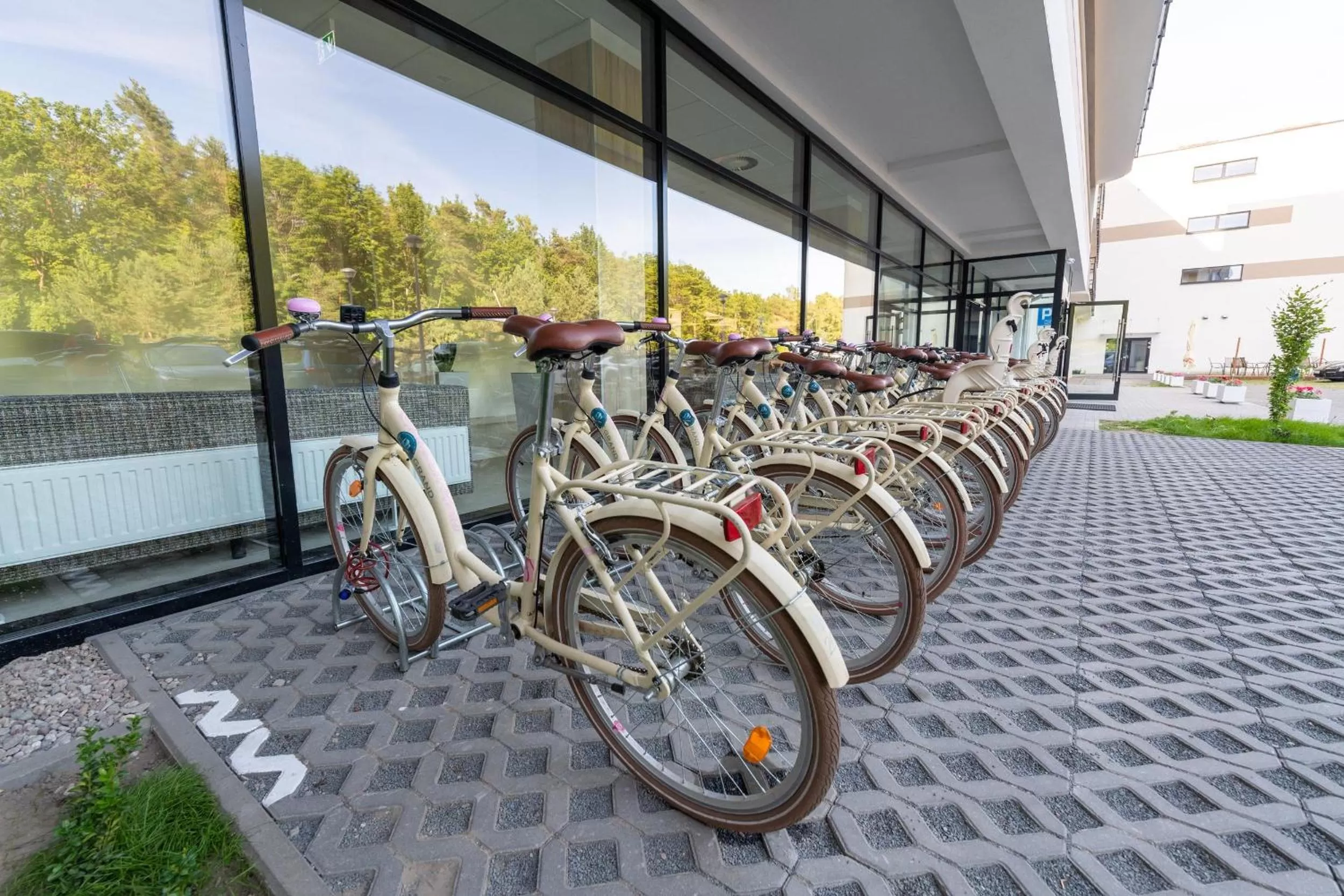 Activities in Blue Marine Mielno