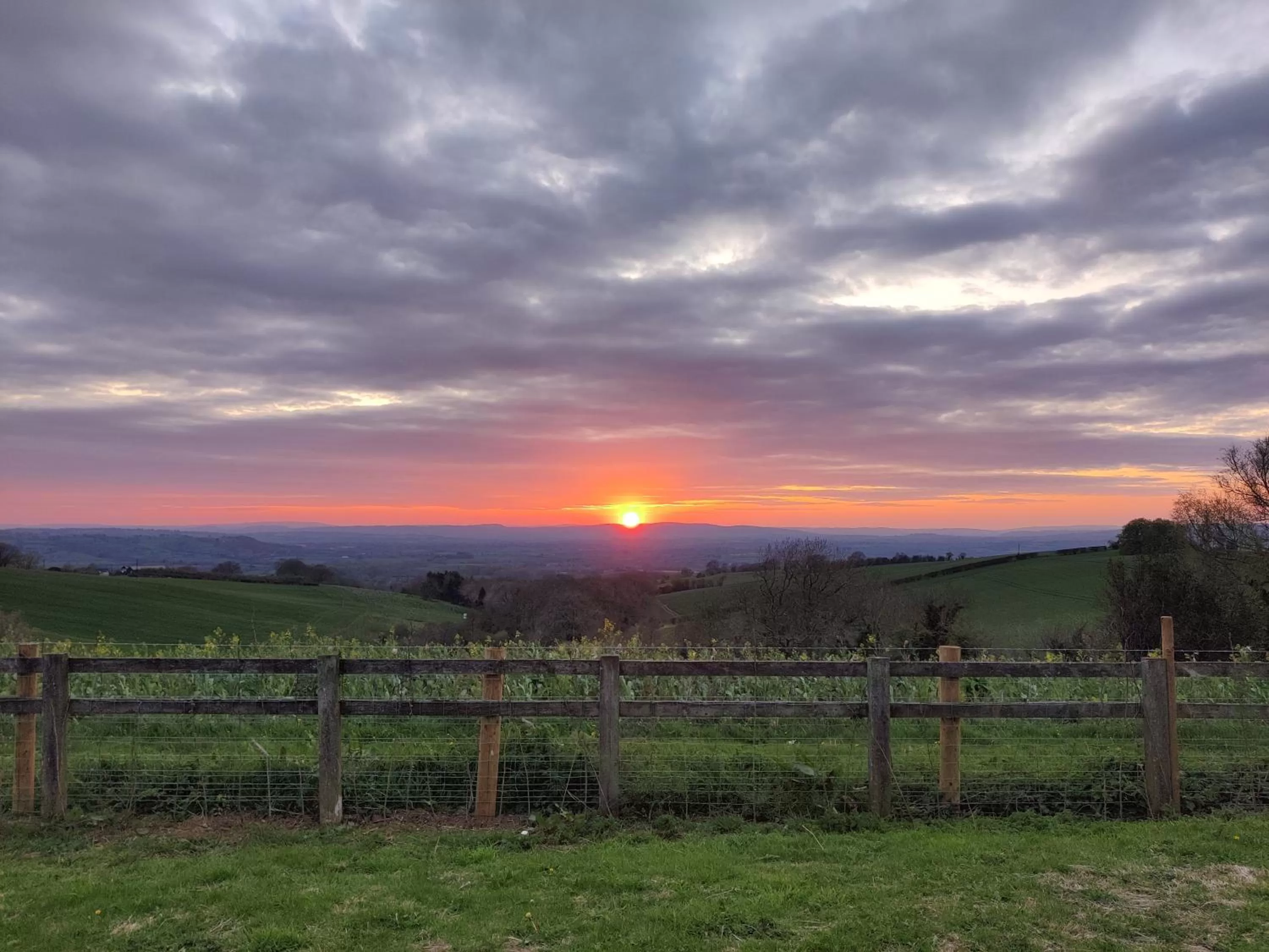 Natural landscape in Hanley House