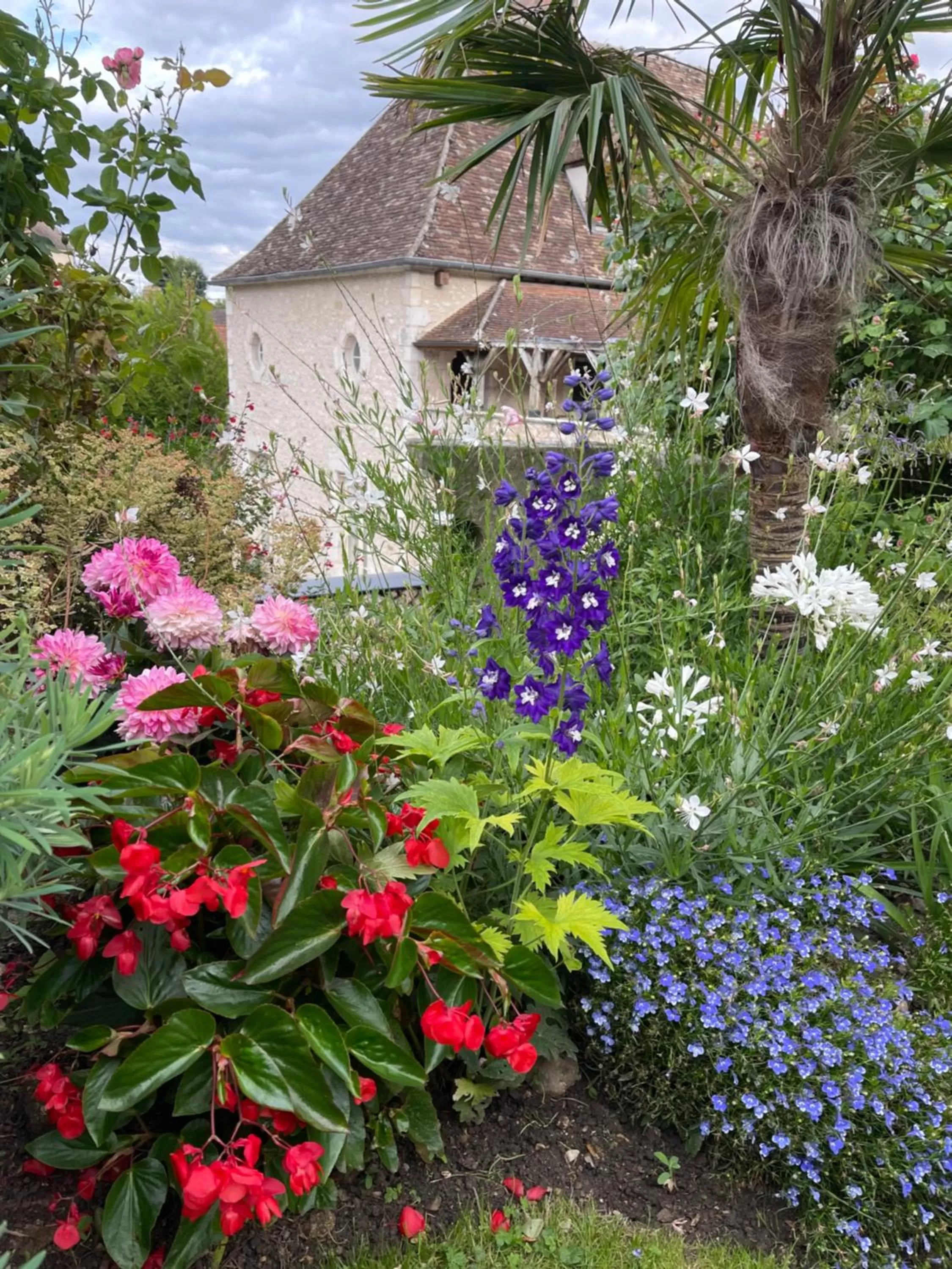 Garden view in Demeure des Vieux Bains