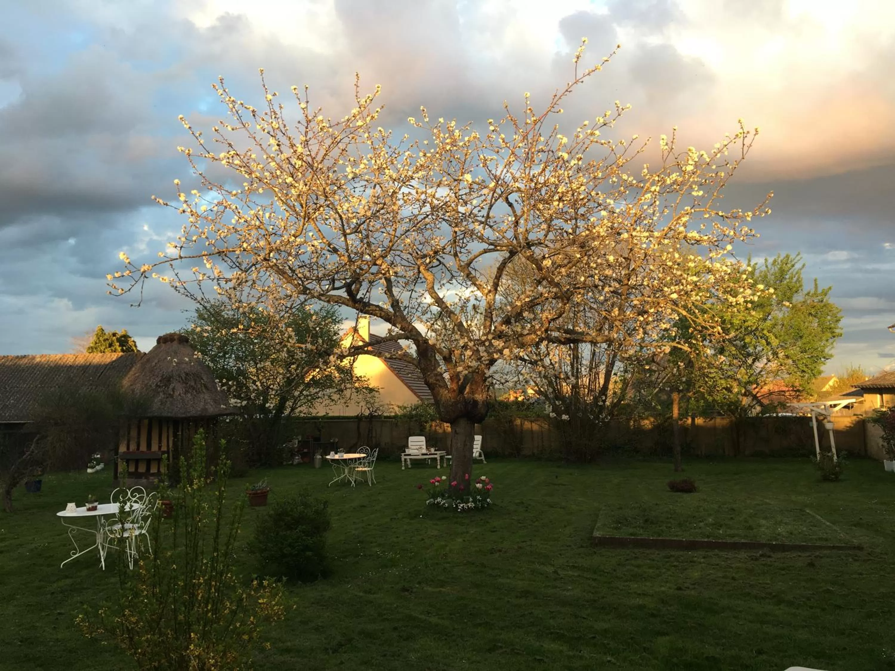 Garden in La Romance et la Romanesque