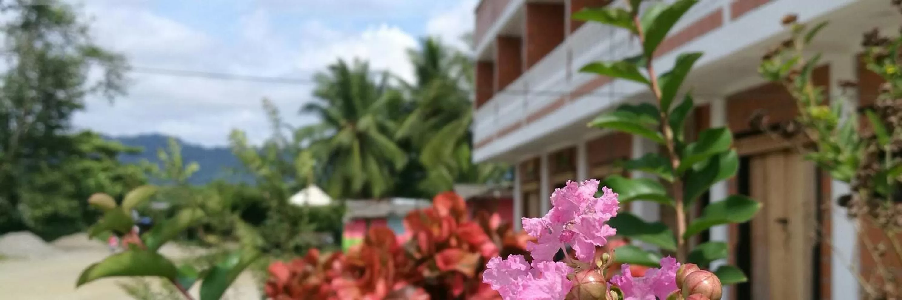 Property Building in Hotel Acuali Nuqui