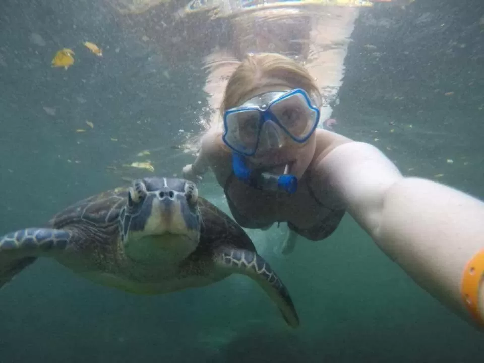 Baraka Aquarium Bungalows