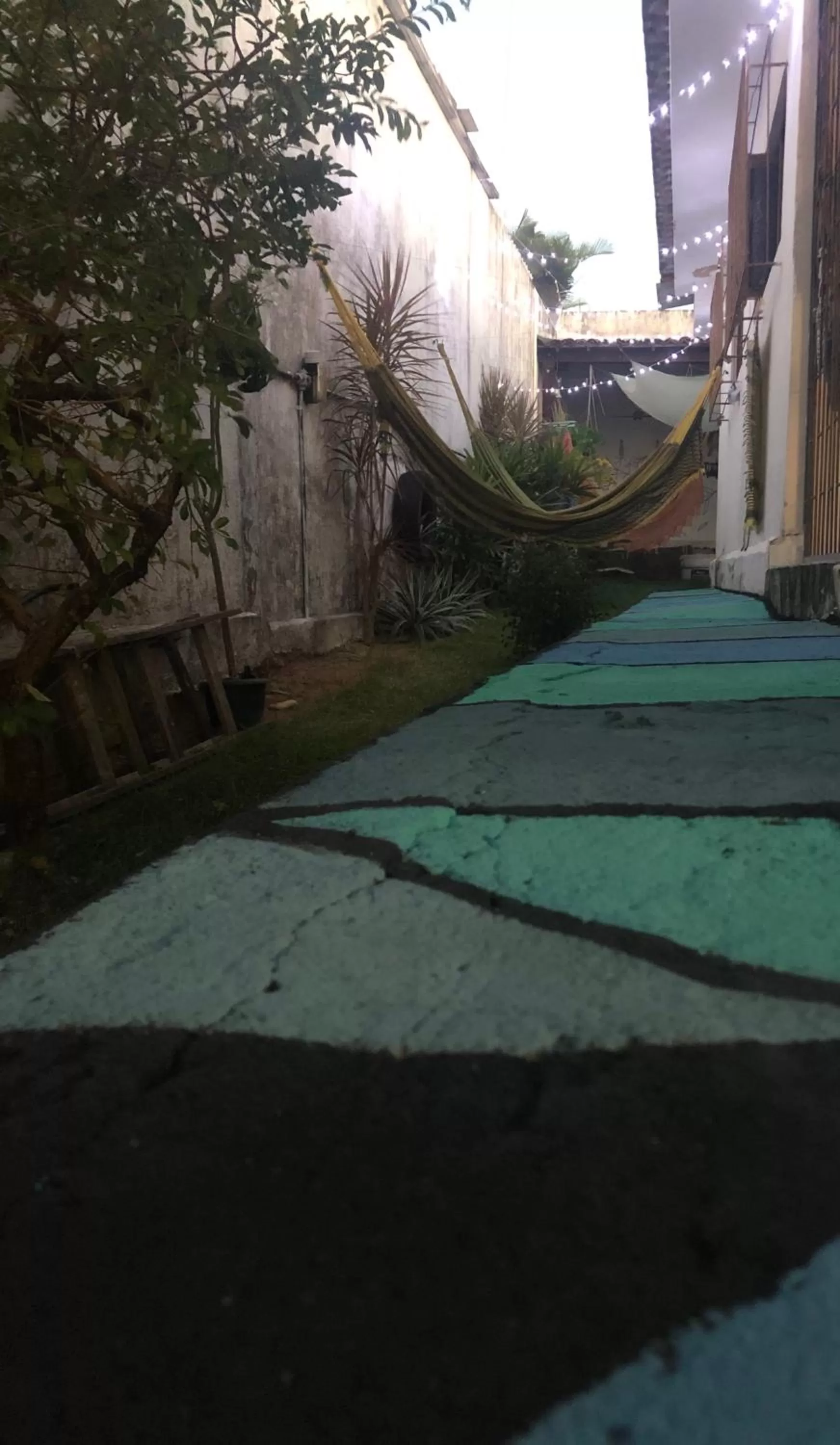 Spring, Garden in Hostel Das Canárias