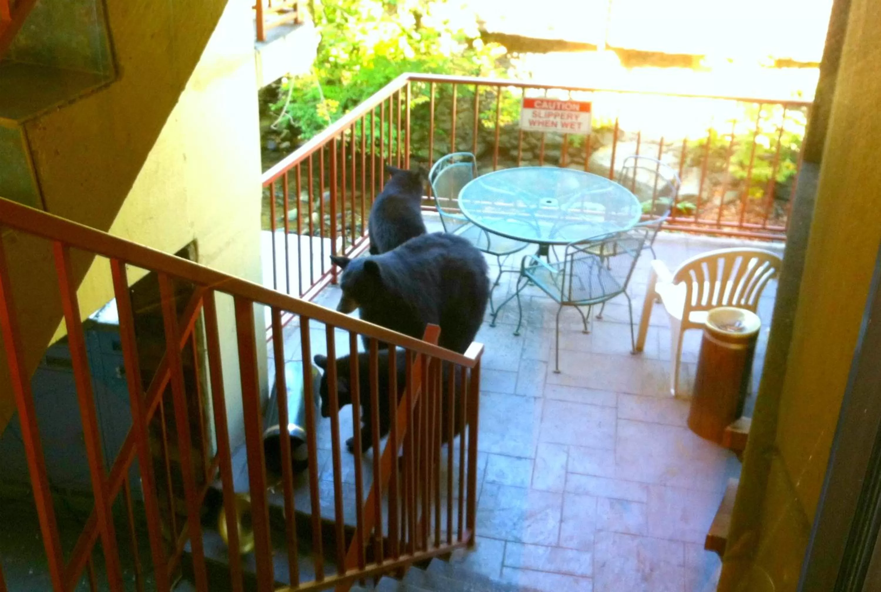 River view in Baymont by Wyndham Gatlinburg On The River