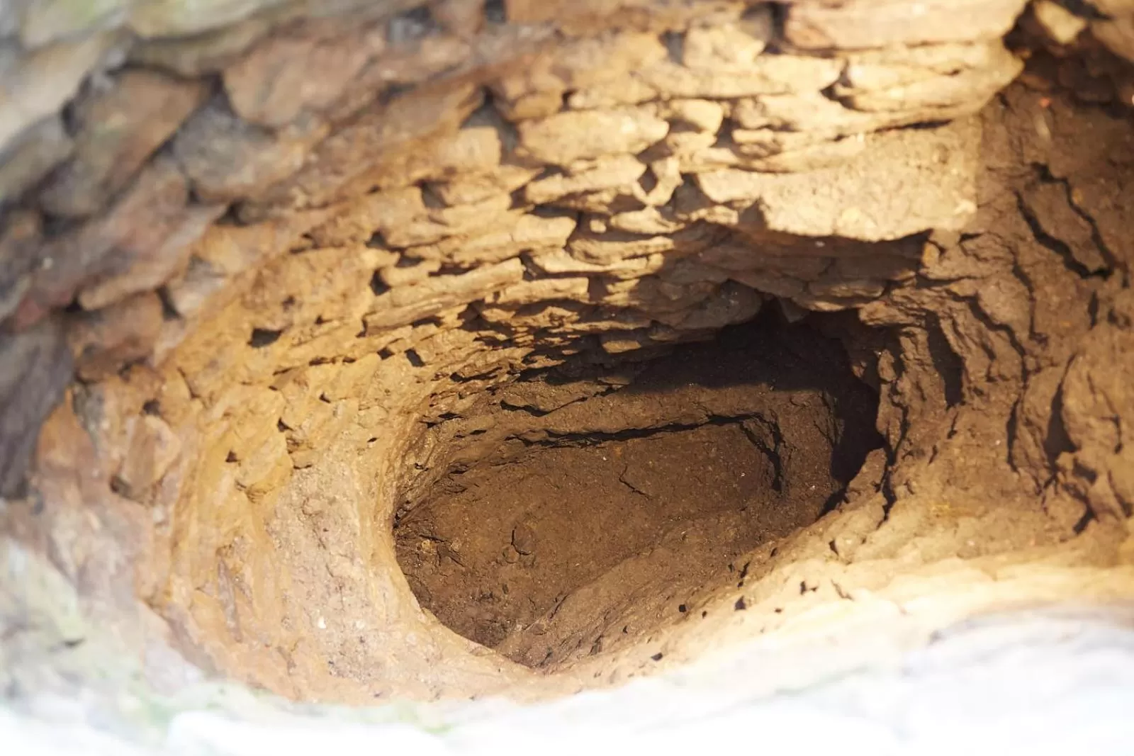 View (from property/room) in Cherry tree farm B and B