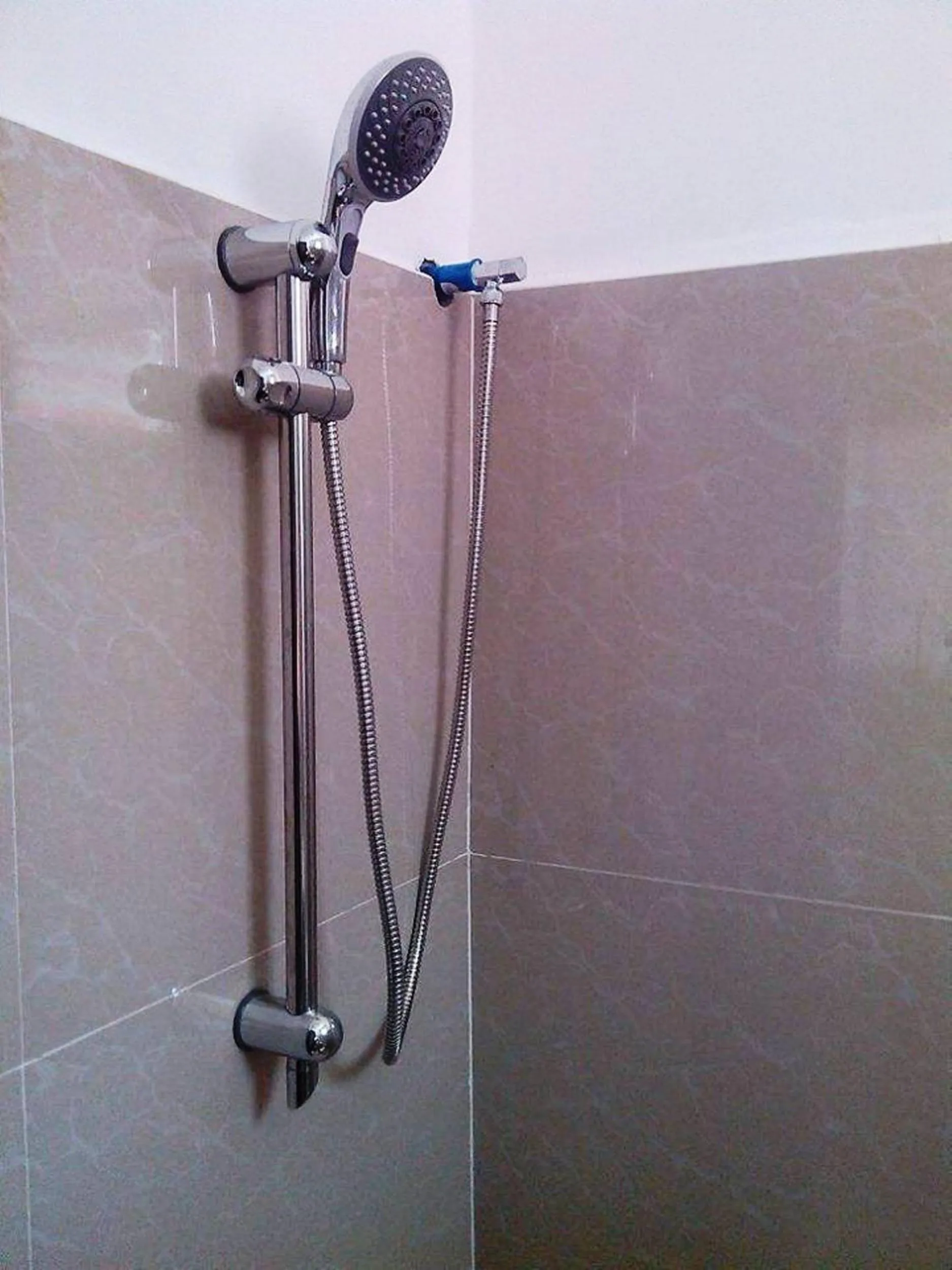 Shower in Ashok Homestay