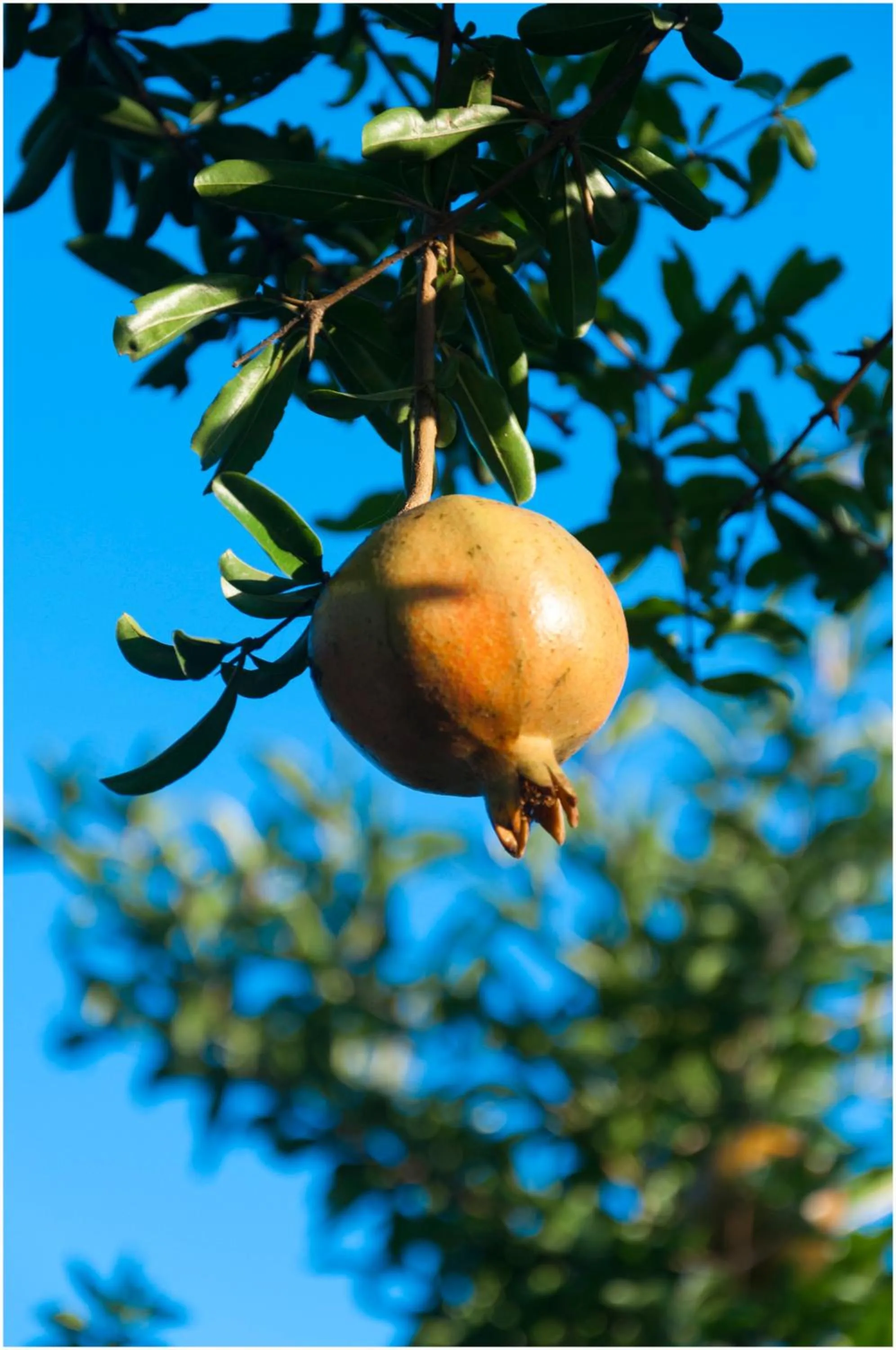 Summer in Fairmont Yangcheng Lake