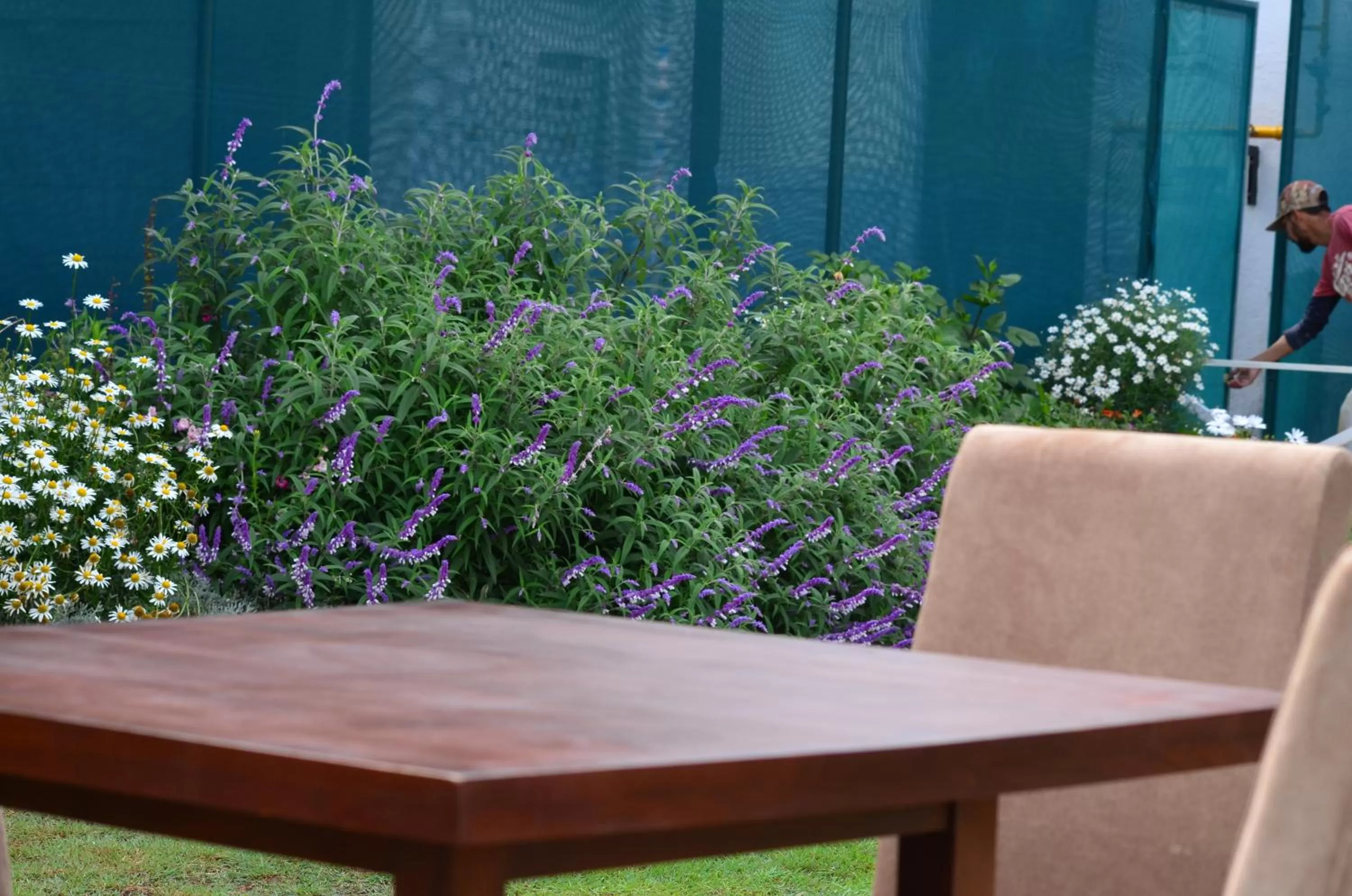 Ripon Grand Hill By EHI