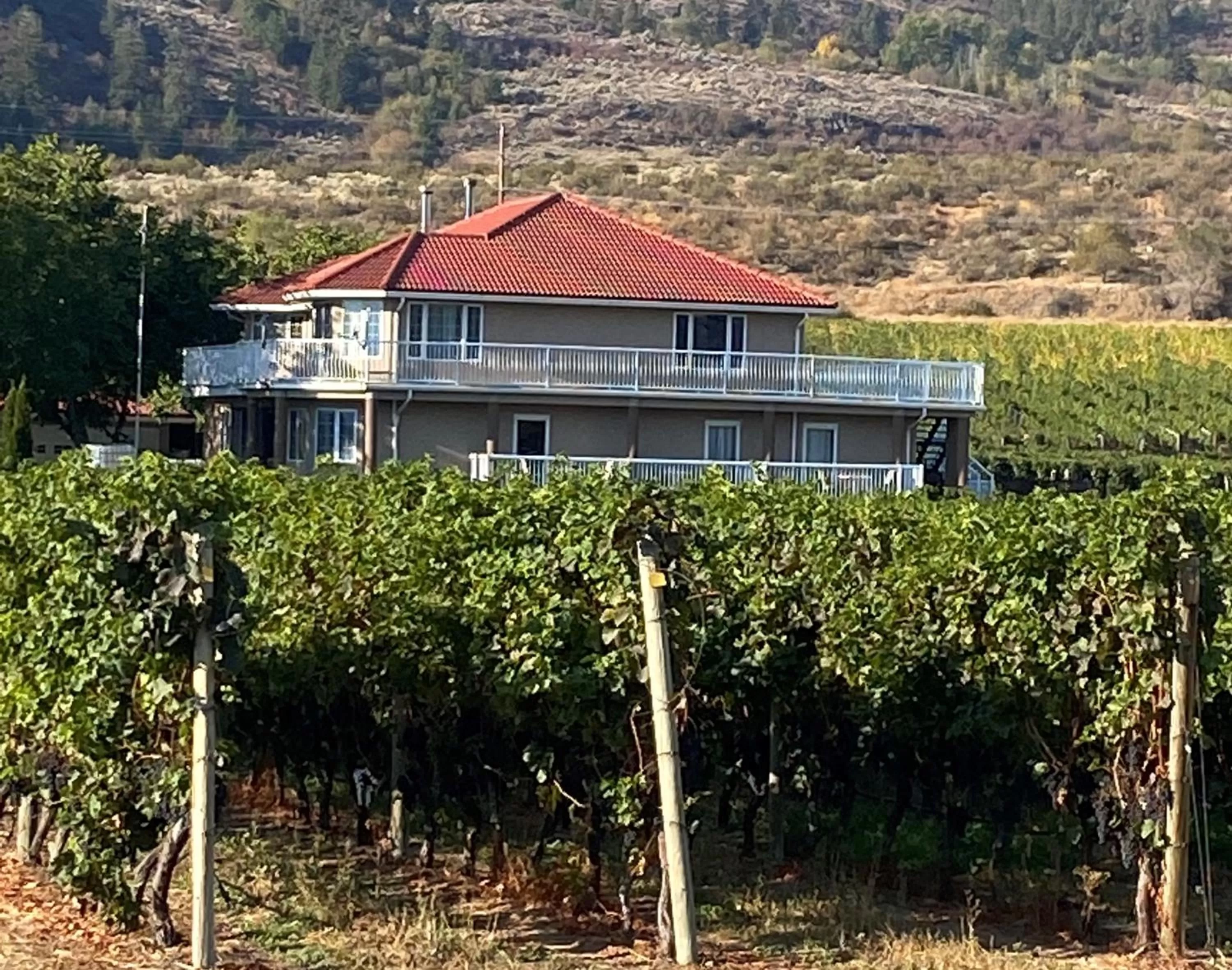 Property Building in Sonora Desert Inn