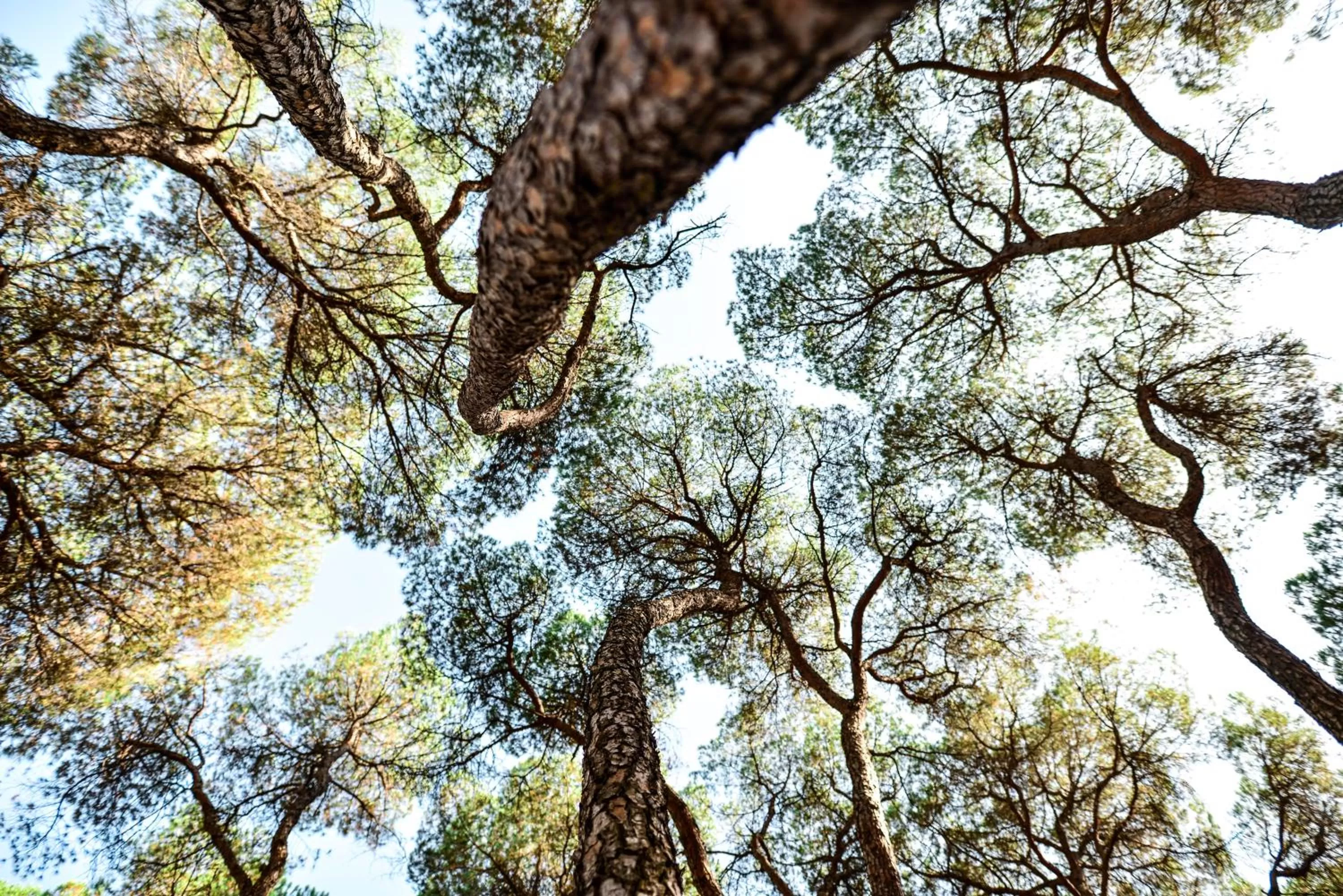 Other in Hotel Oromana