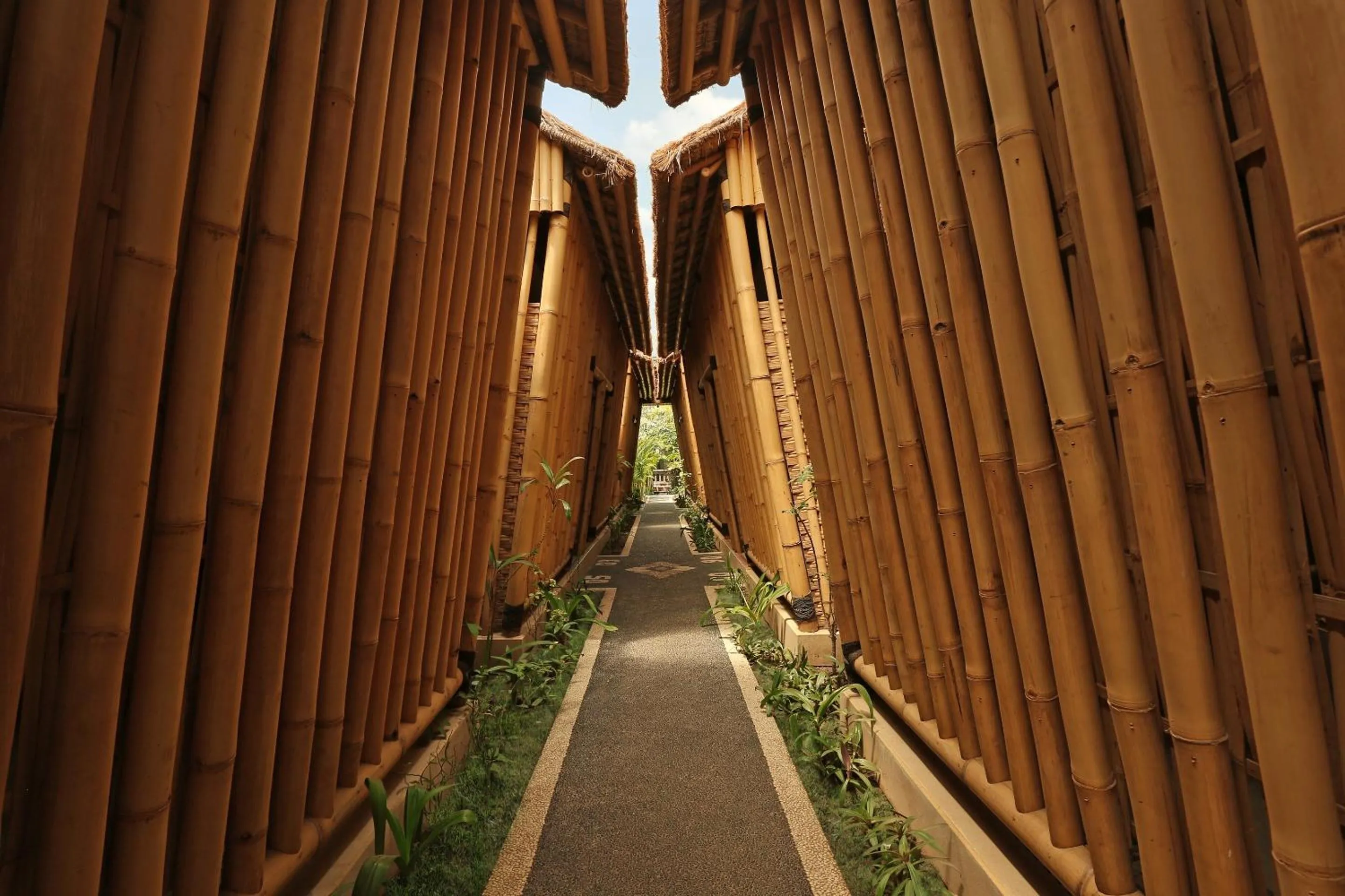 Area and facilities in Vamana Resort - CHSE Certified