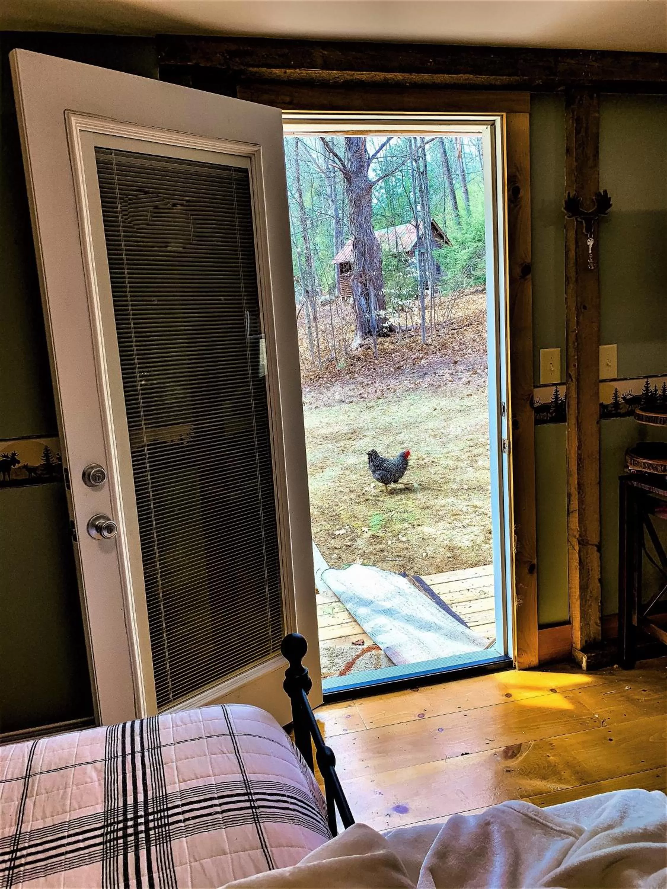 View (from property/room), Bed in Inn on Golden Pond
