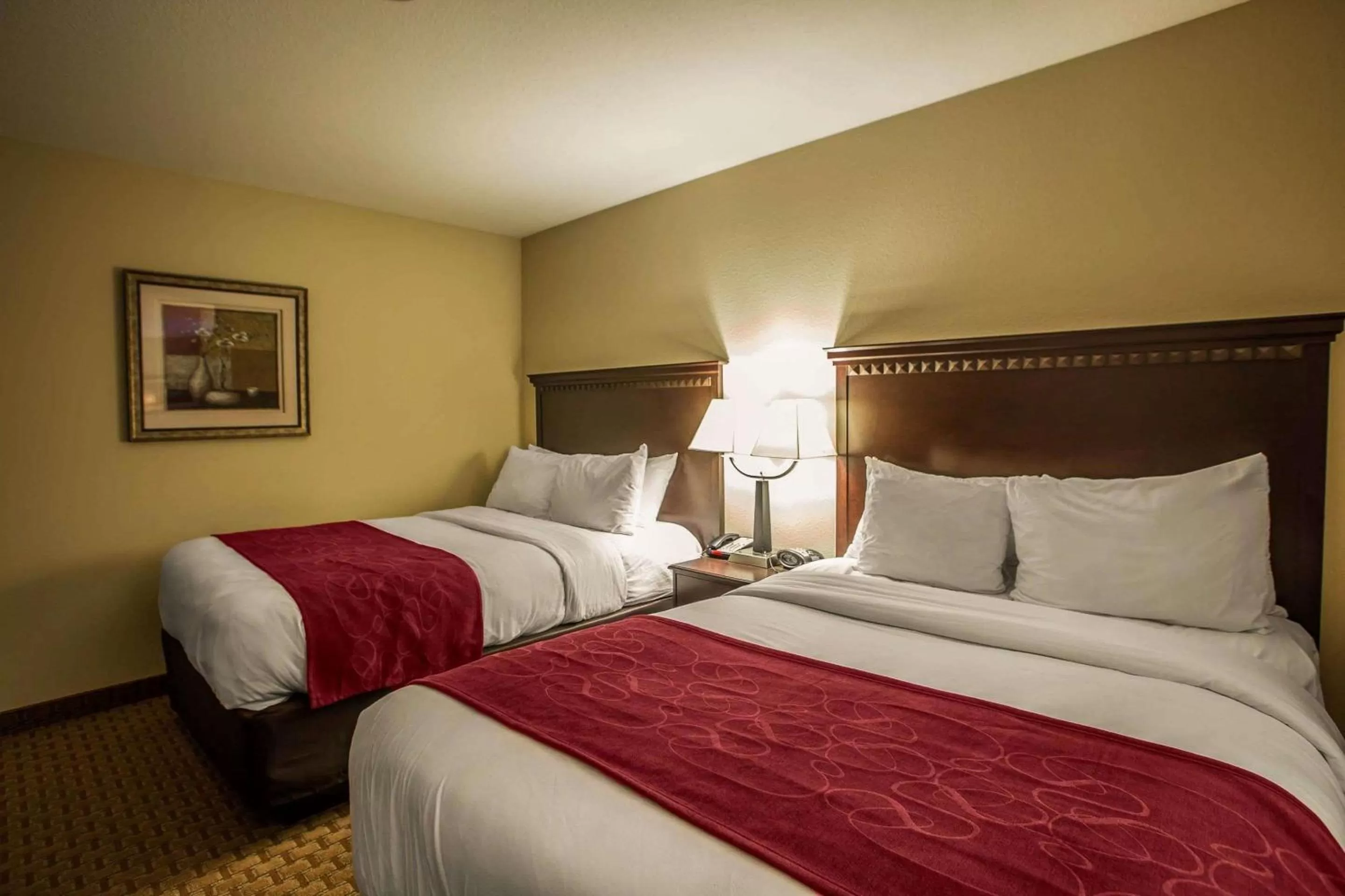 Bedroom, Bed in Comfort Suites Bloomington I-55 and I-74