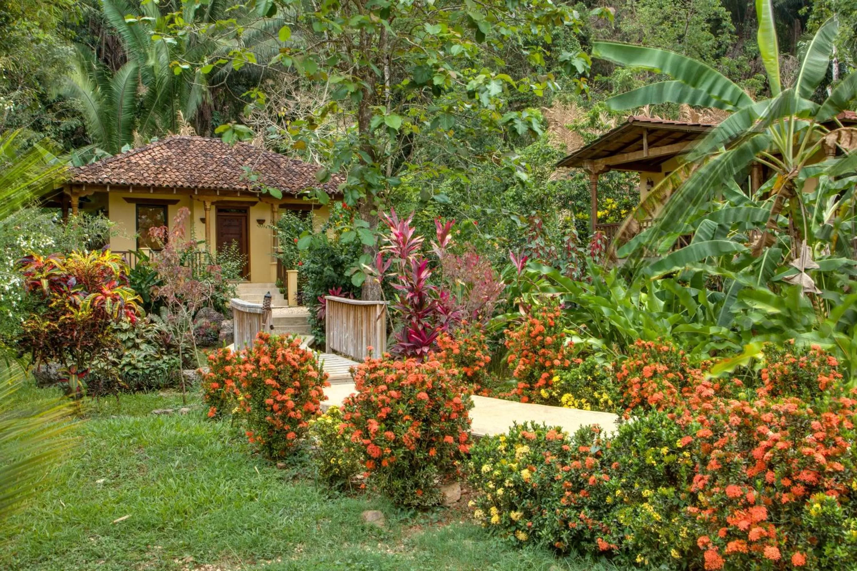 Garden in Sleeping Giant Rainforest Lodge