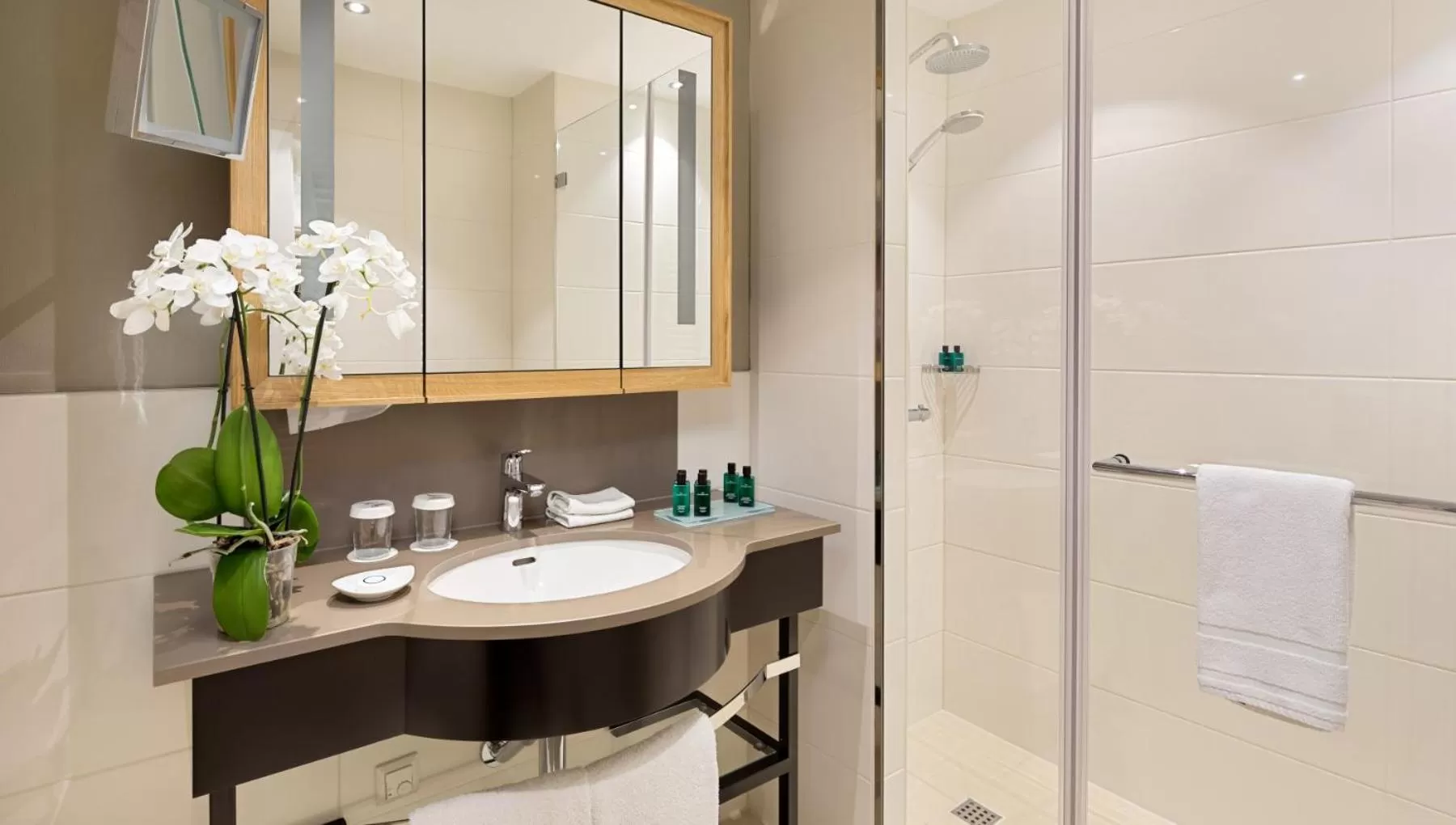 Garden view in Hotel Jagdschloss Kranichstein