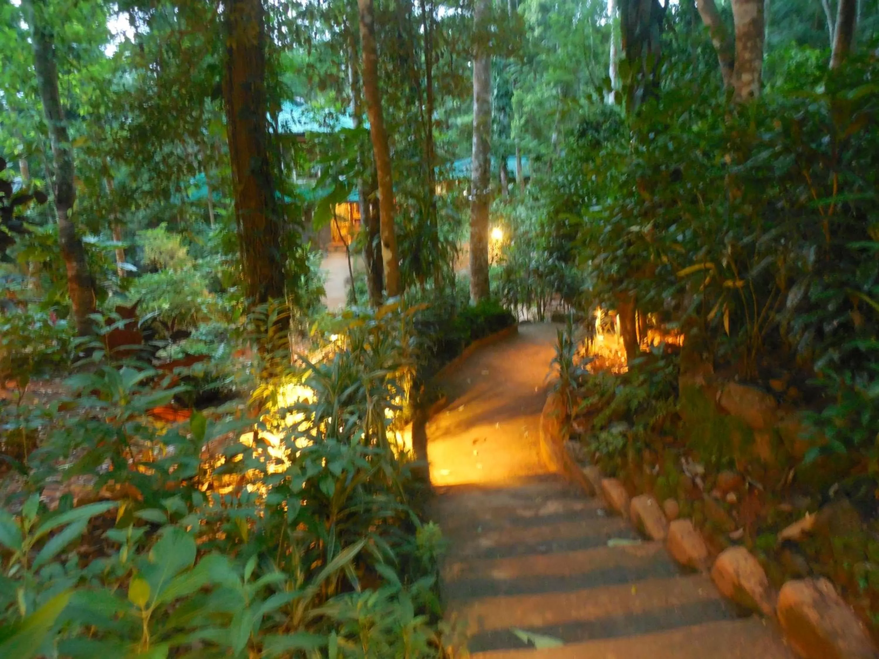 Garden in Le leopard d 'argent