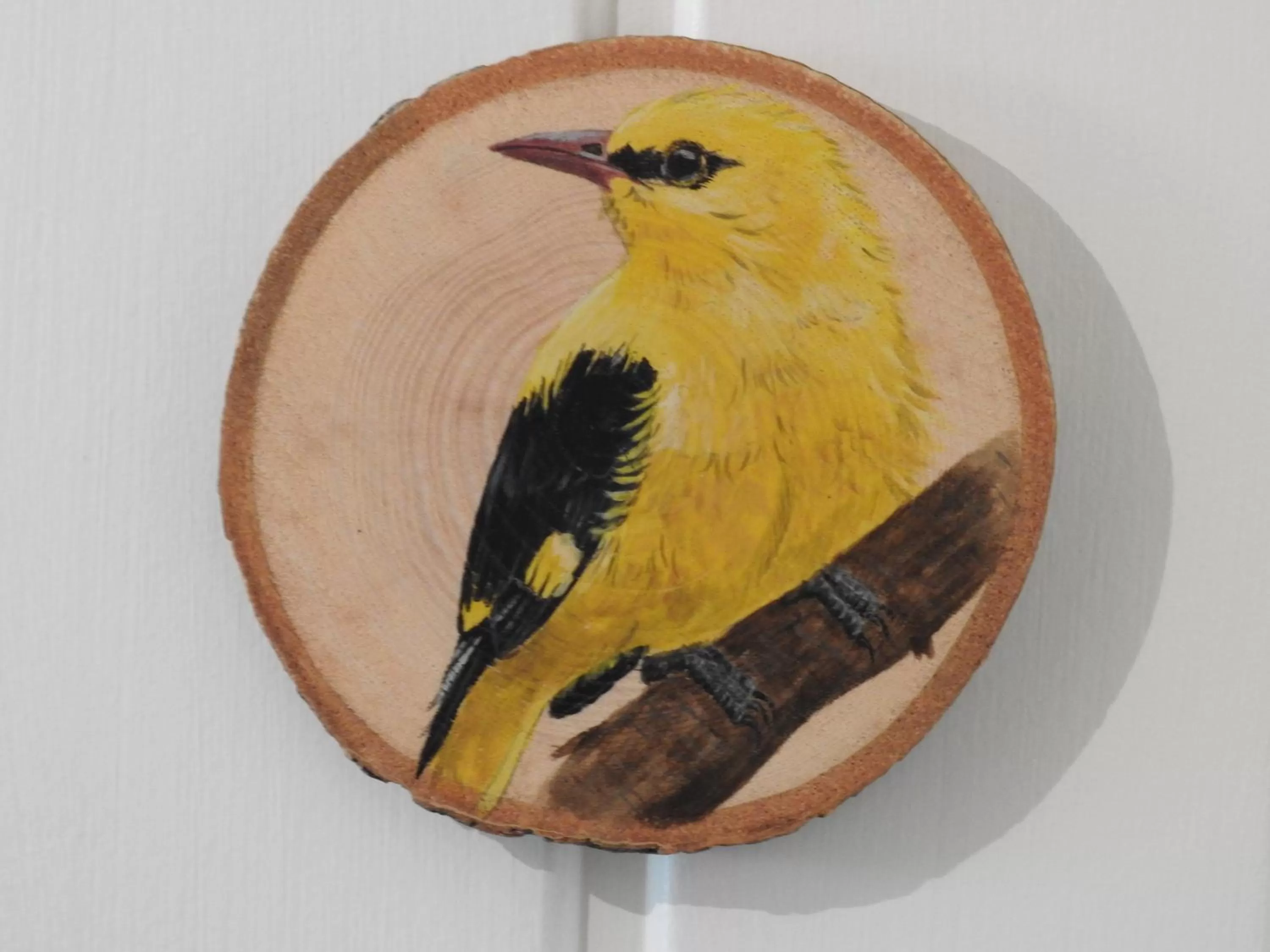 La Ruche Chambres d'hôtes