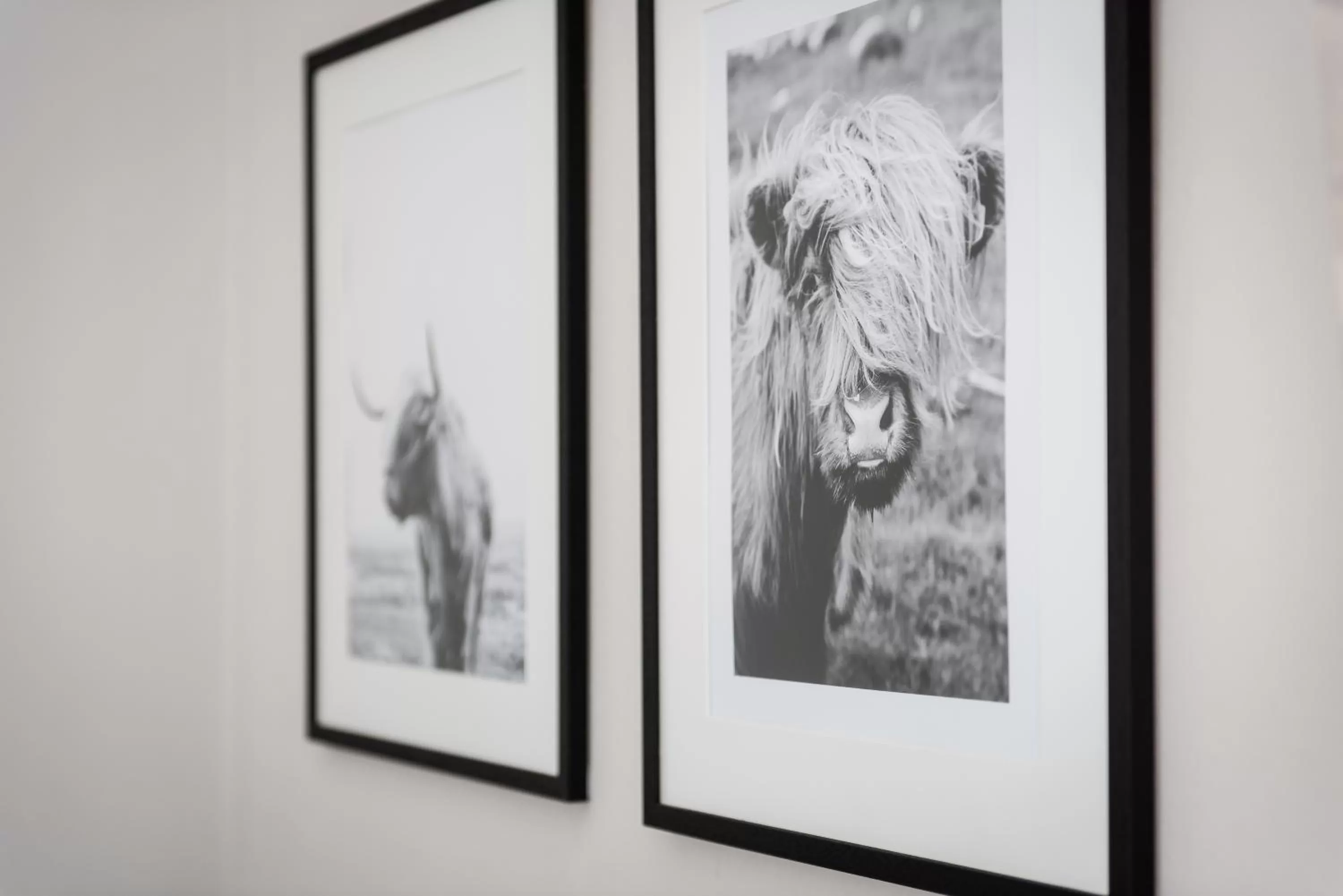 Decorative detail in Ardgowan Hotel
