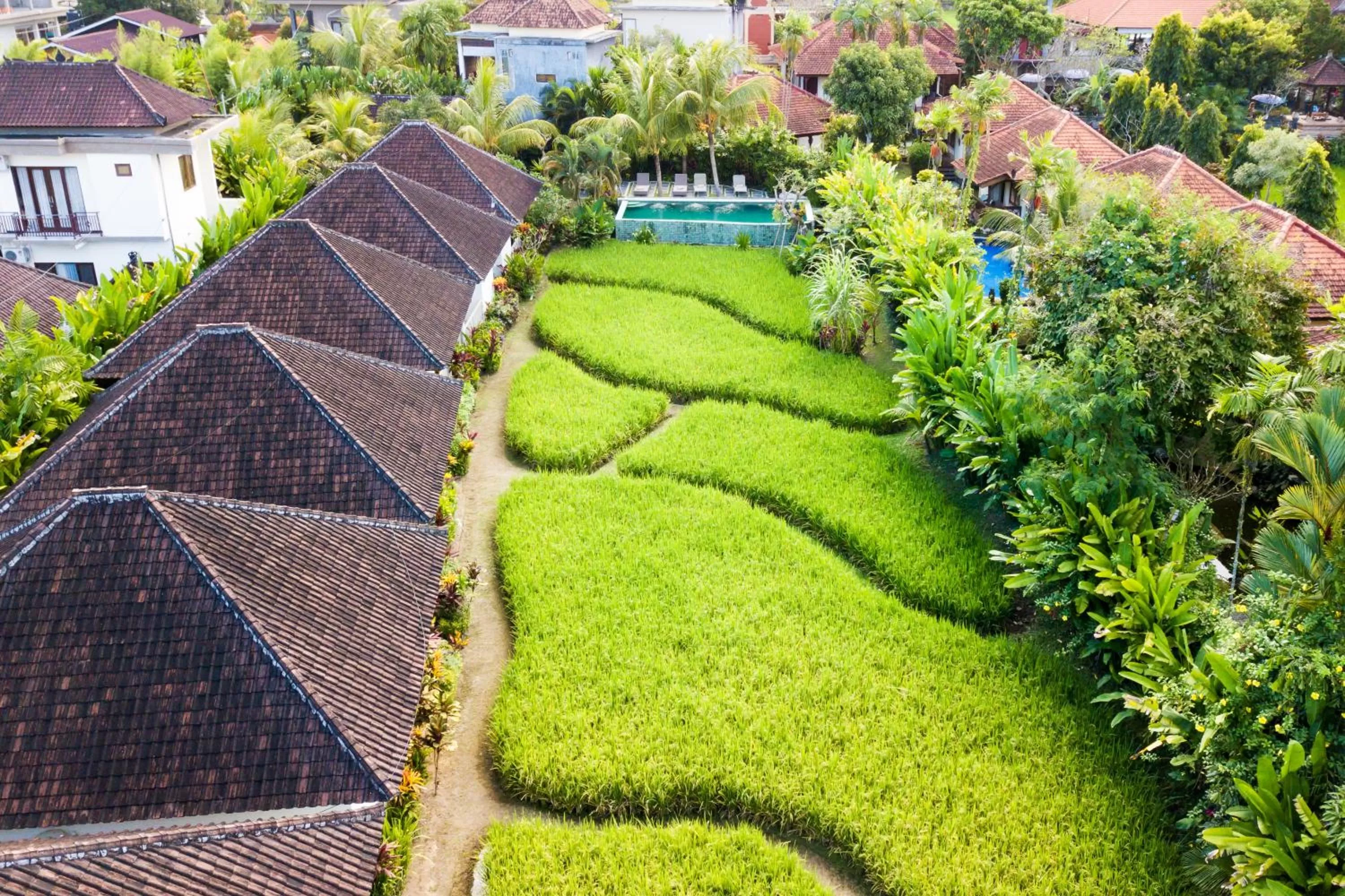 Natural landscape in Abipraya Ubud