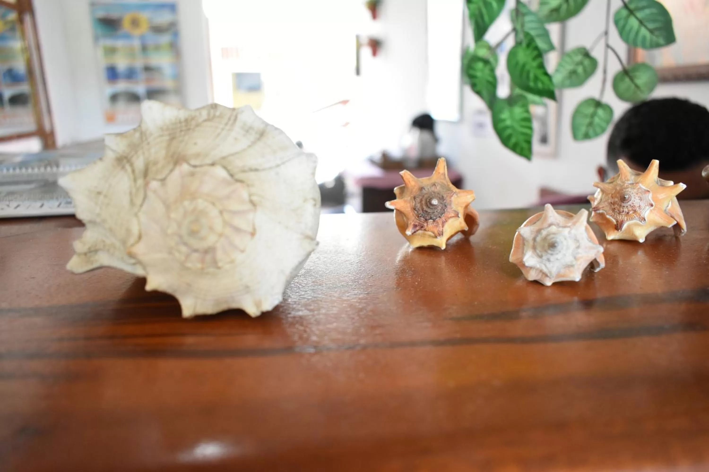 Lobby or reception in Pousada Cores Do Mar