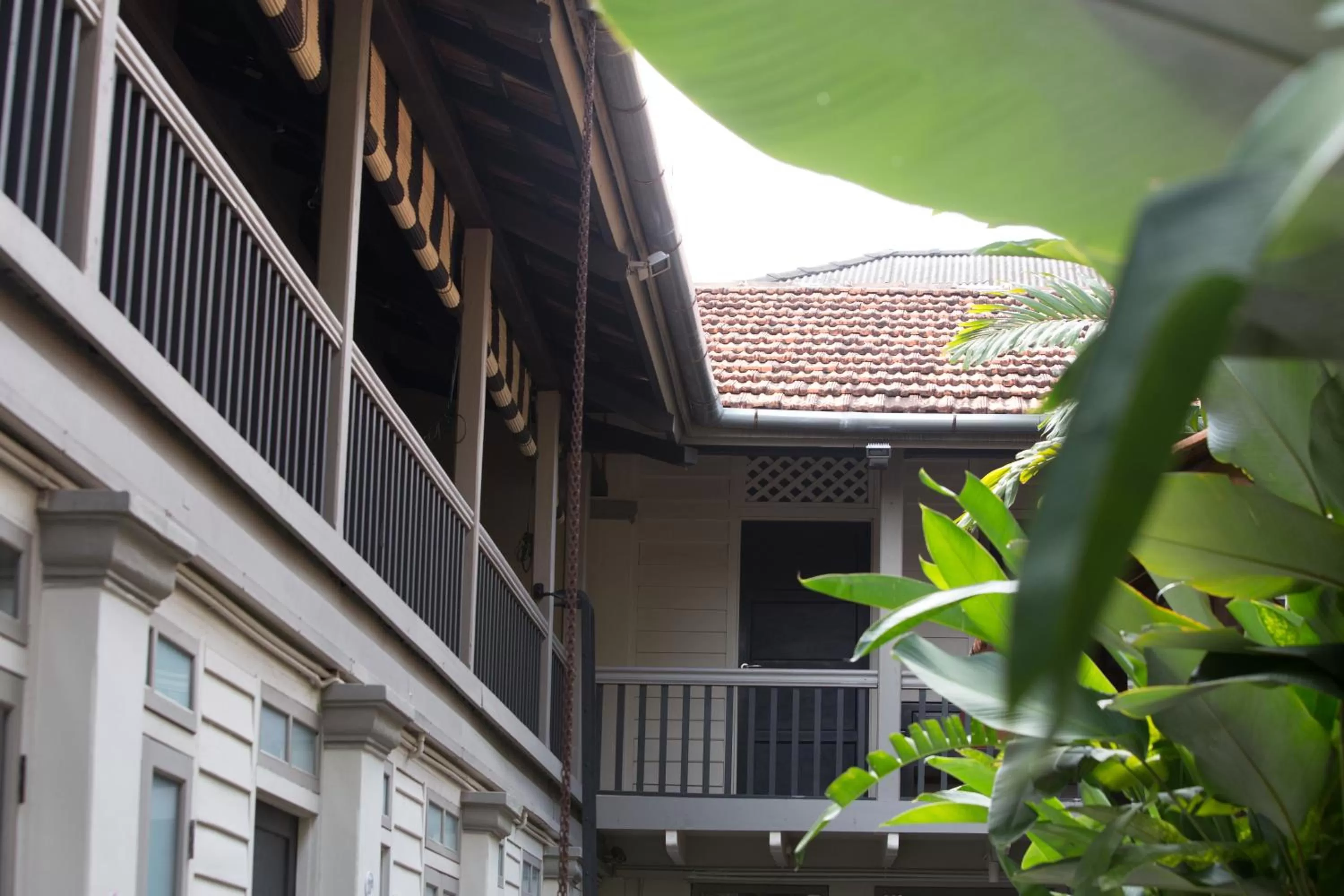 Garden view in Muntri Mews