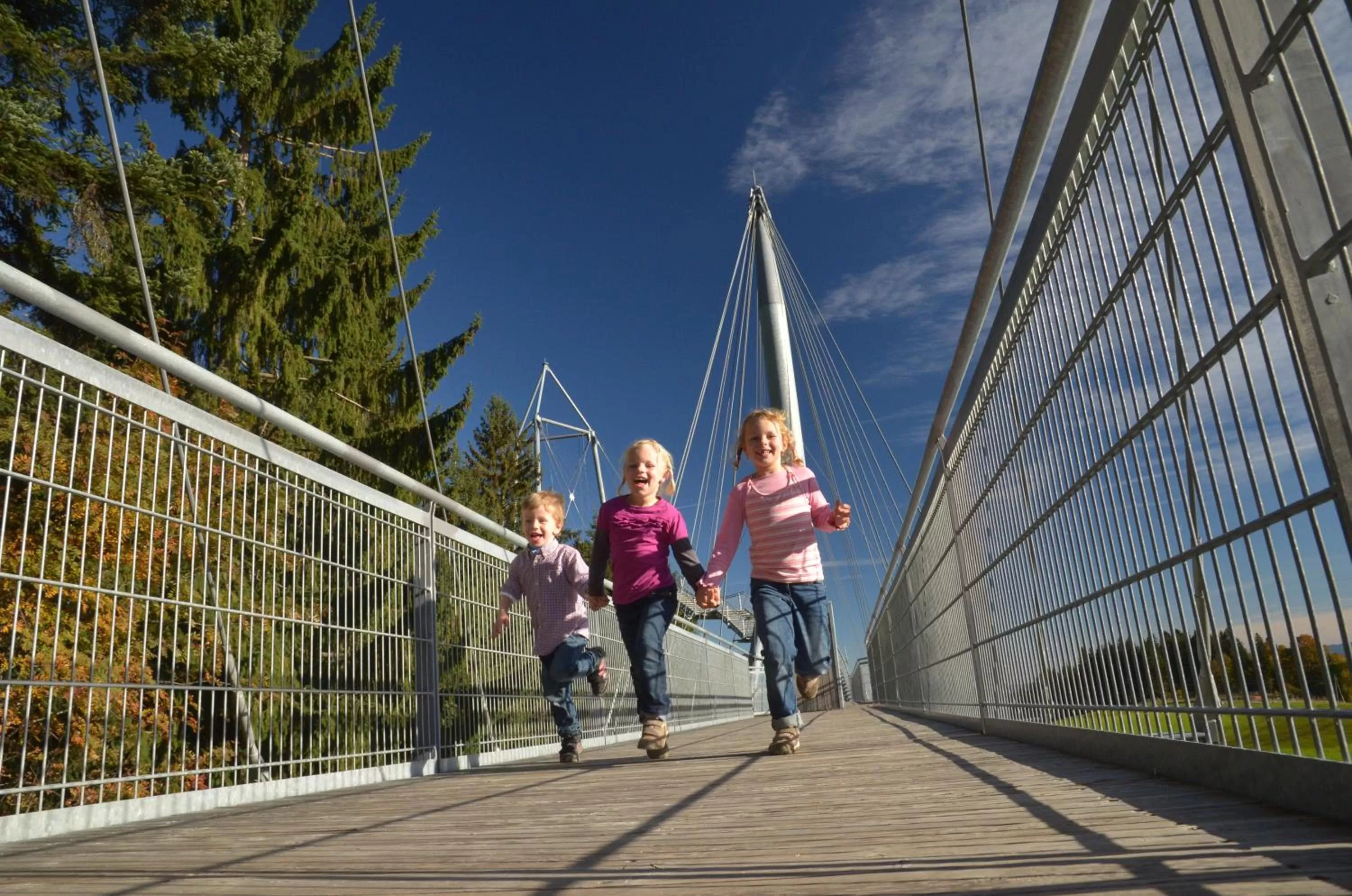 Area and facilities in Hotel Post - regionales großes Frühstücksbuffet - auch GF & LF