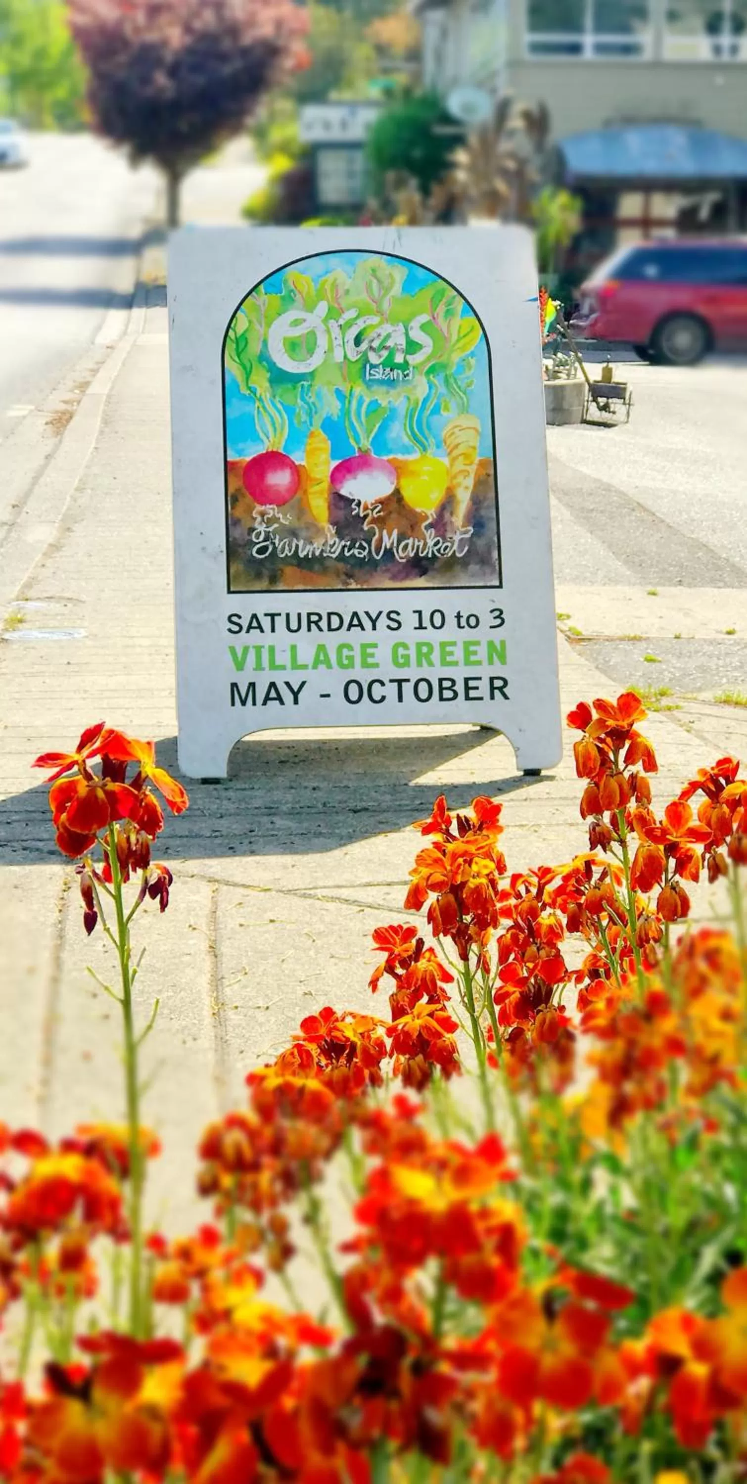 Shopping Area in Otter's Pond Bed and Breakfast
