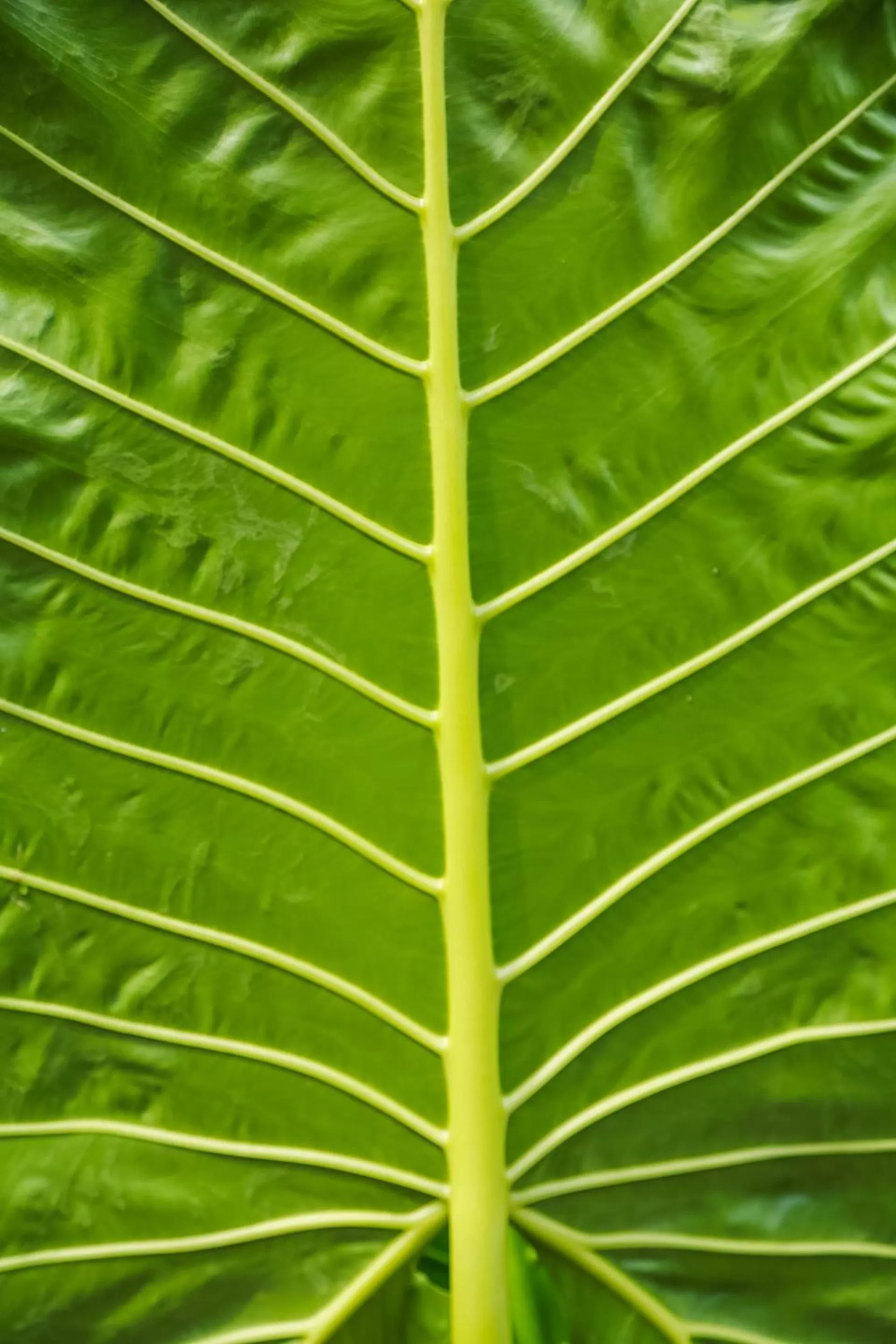 Other in Port Douglas Motel