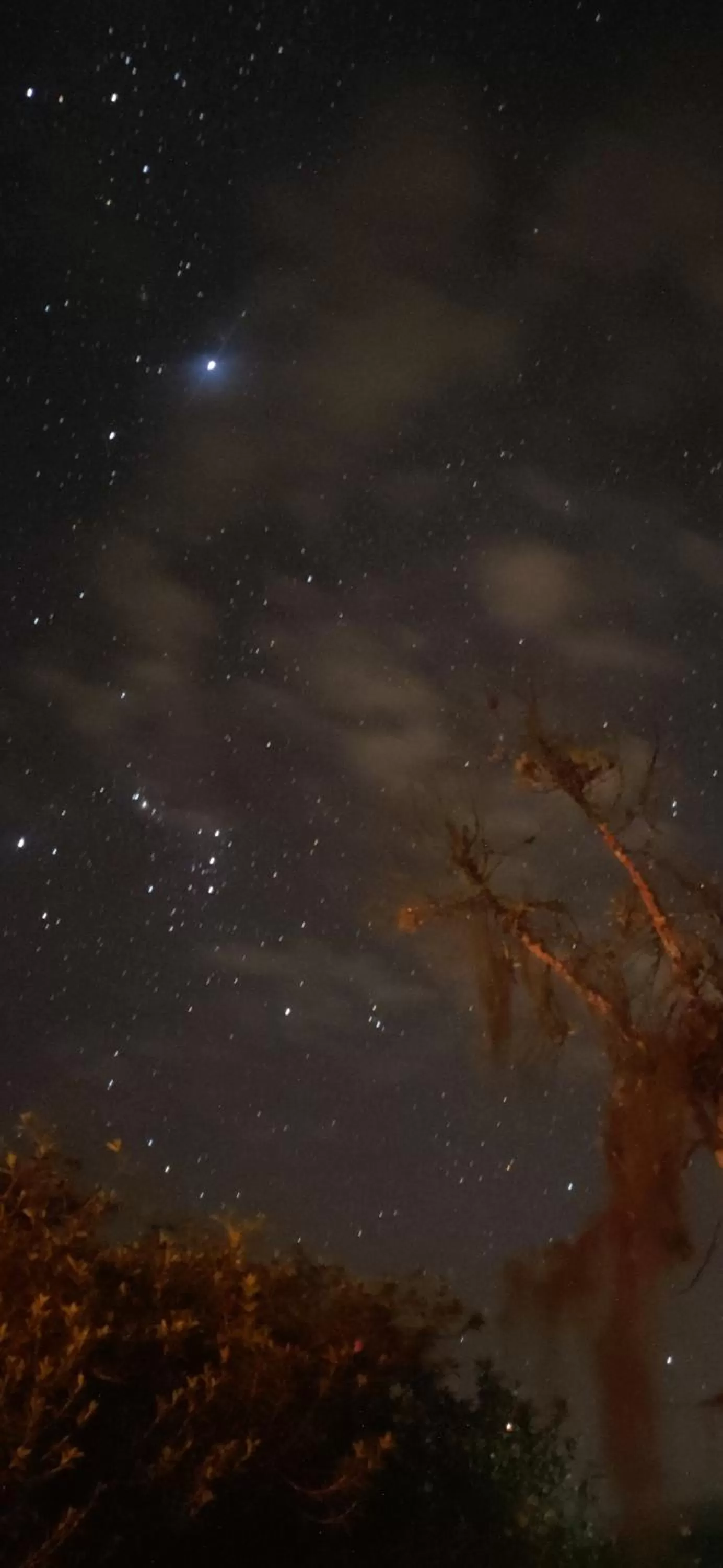 Natural landscape, Other Animals in Pousada da Rosa