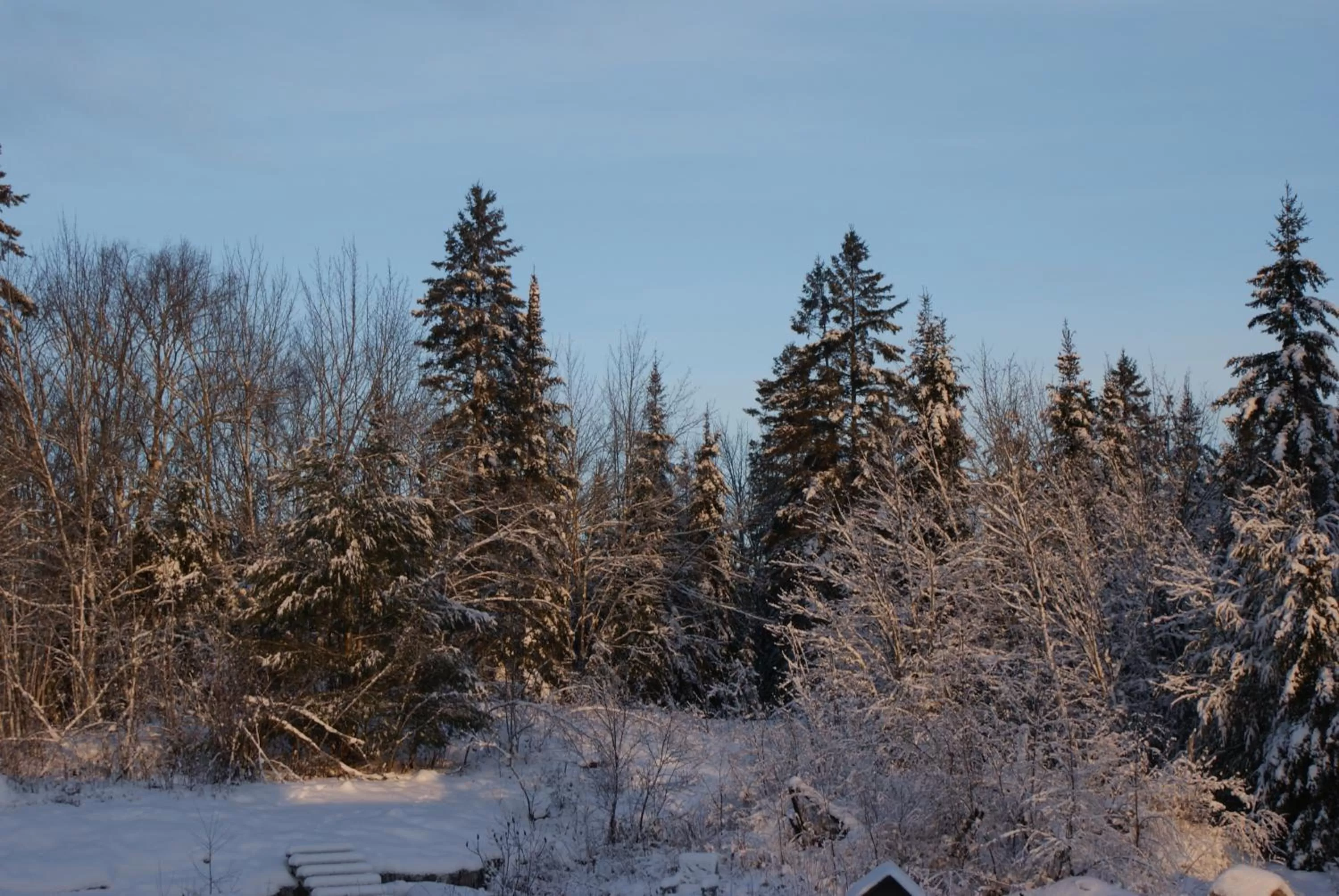 Natural landscape, Winter in Top of Algonquin Bed and Breakfast