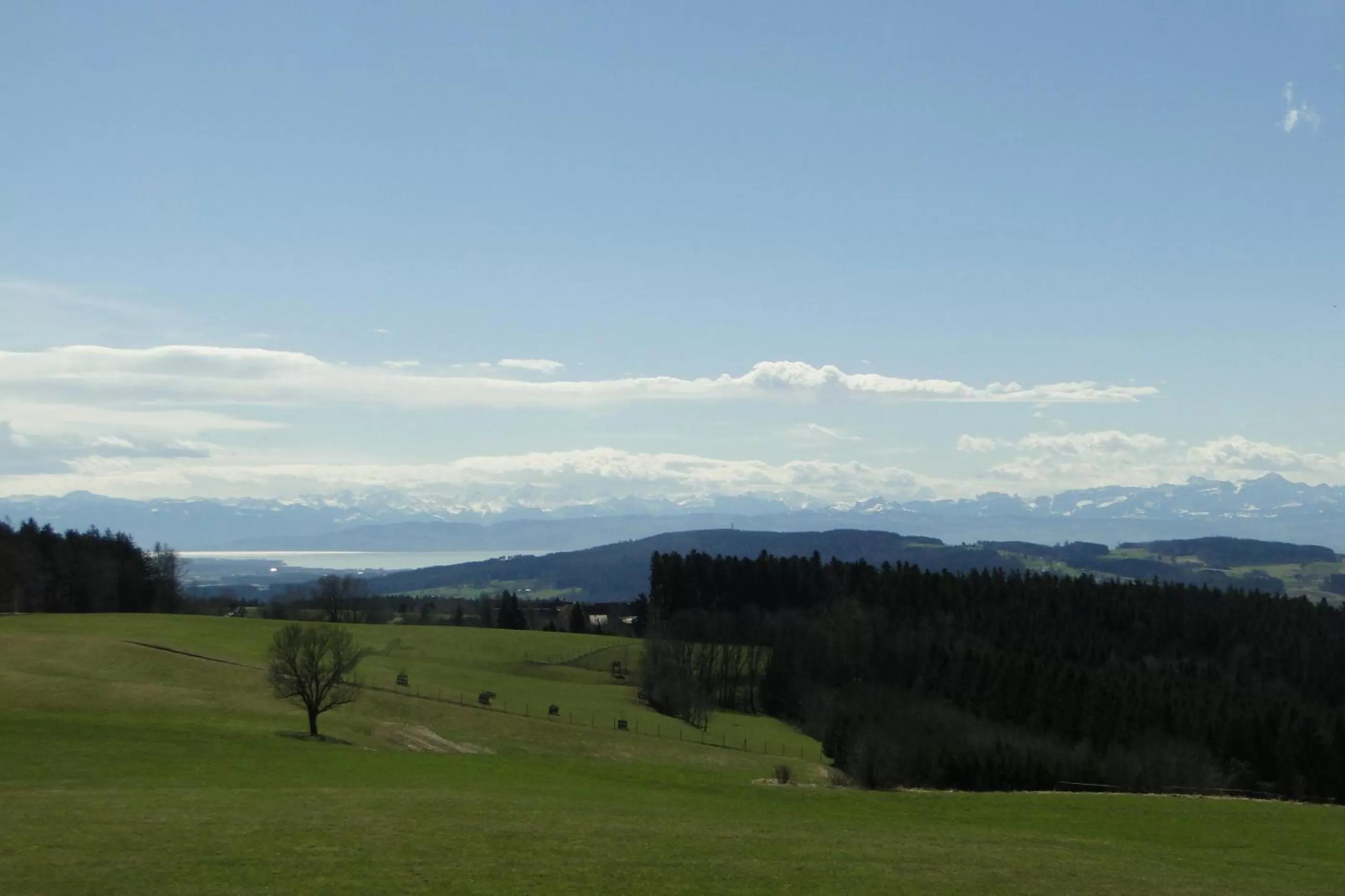 Lake view in Berggasthof Höchsten