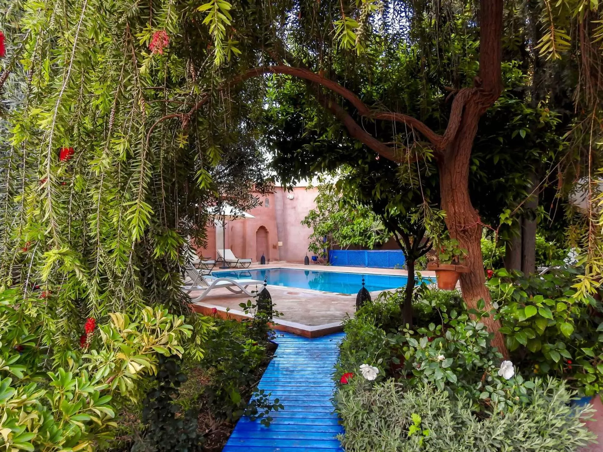 Garden, Swimming Pool in Le Bleu House