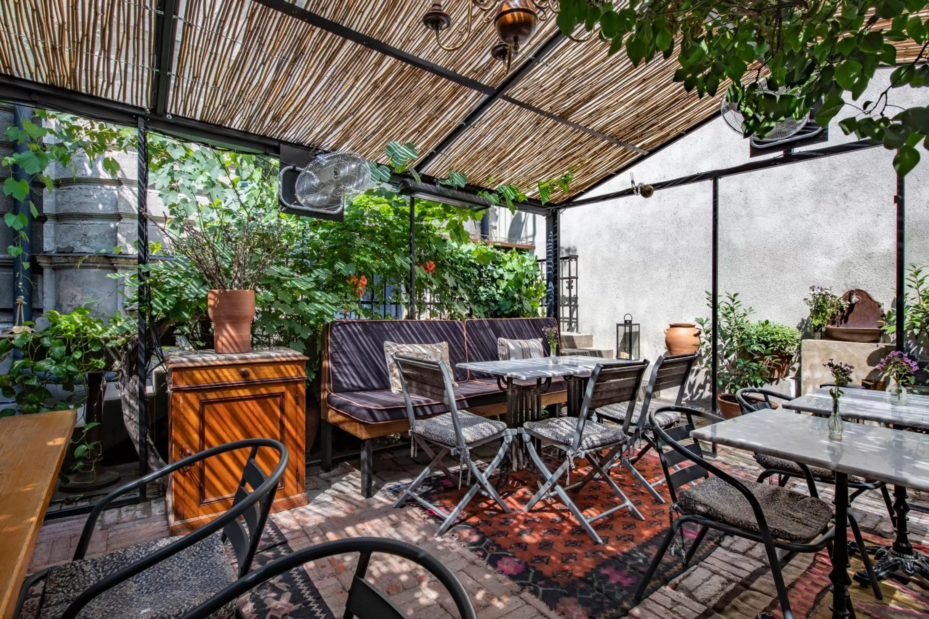 Restaurant/places to eat in Communal Hotel Plekhanovi