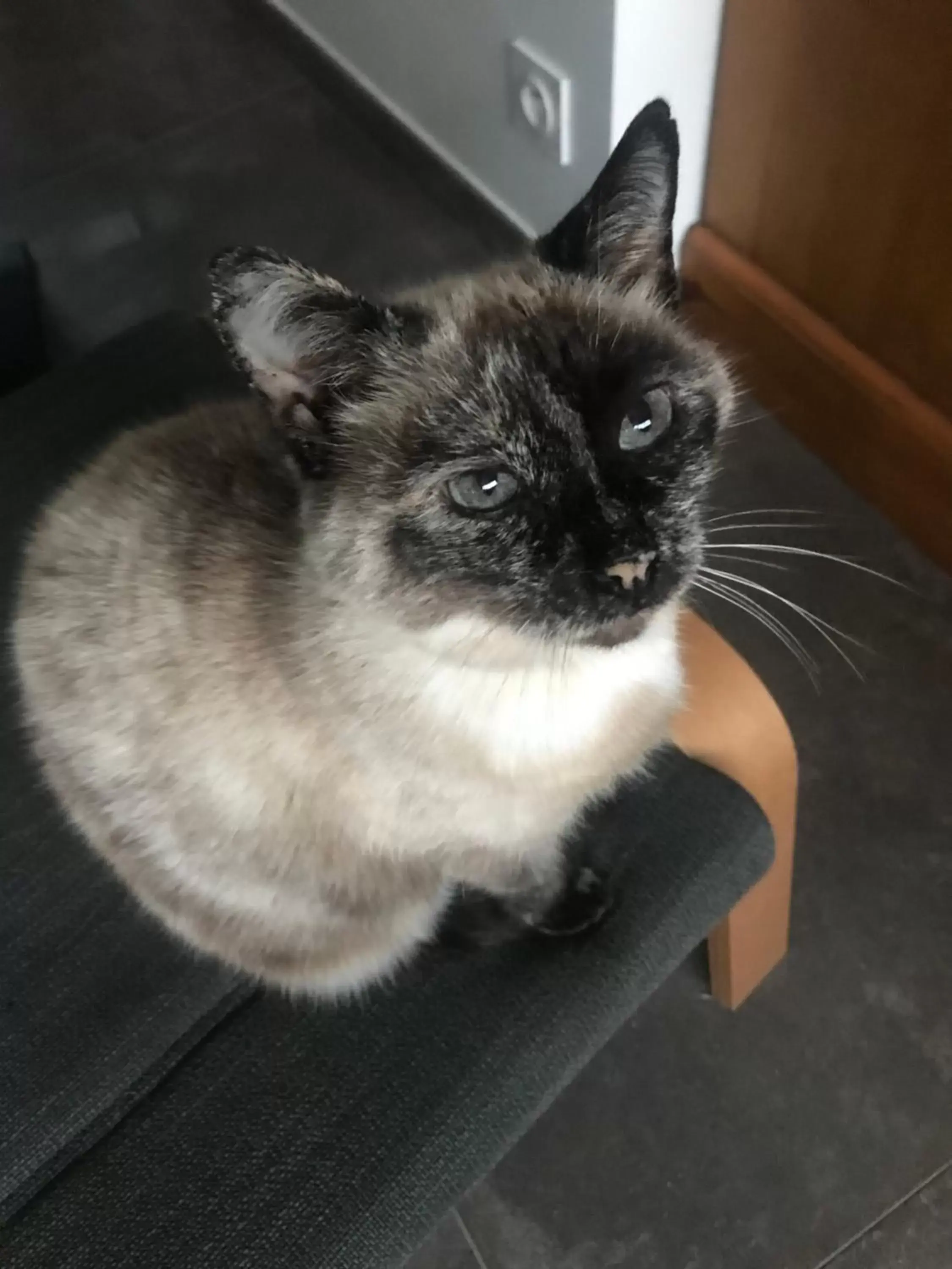 Double Room - single occupancy in Cocon de douceur à deux pas de la gare Double Room - single occupancy in Cocon de douceur à deux pas de la gare