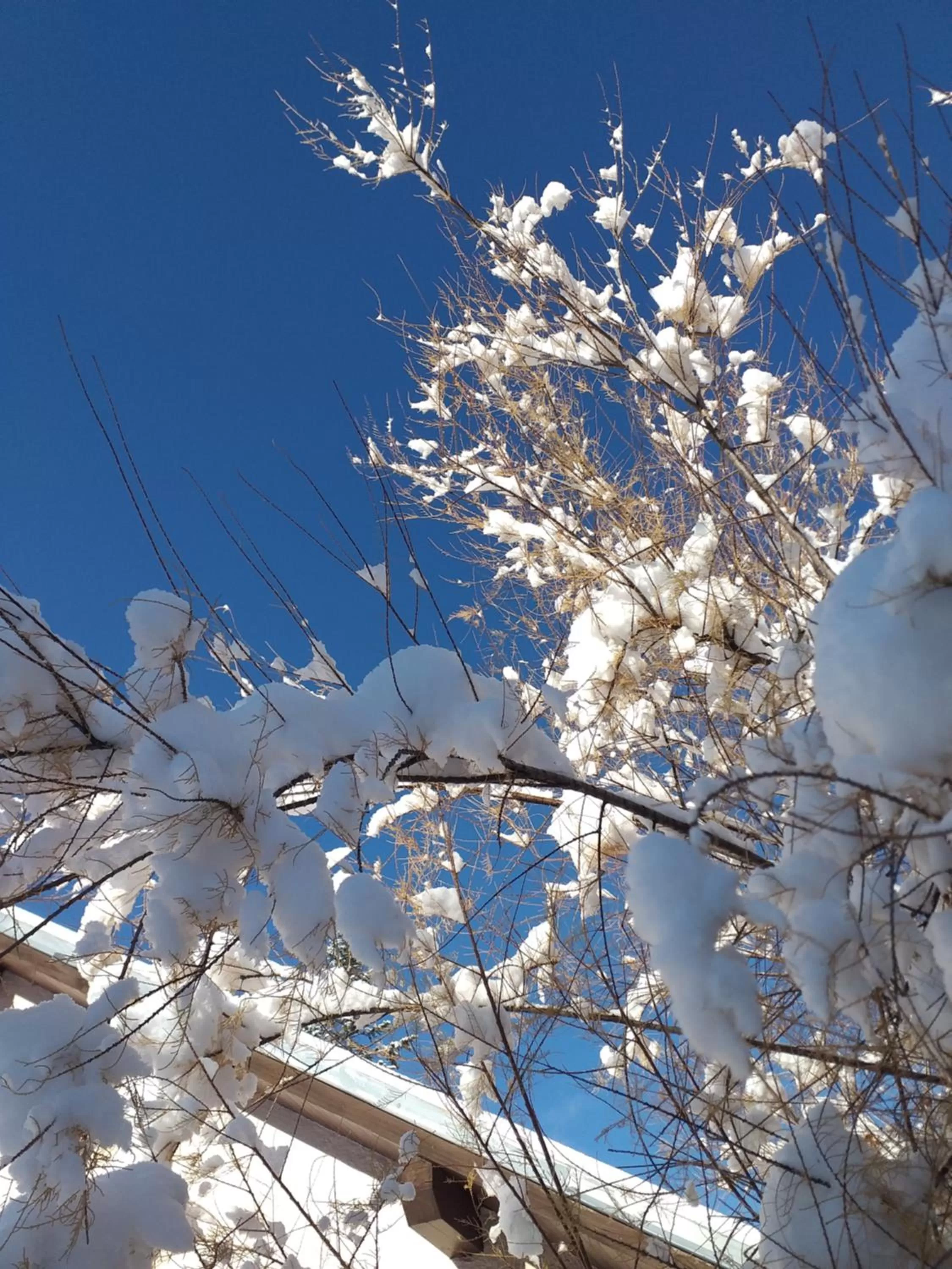 Winter in Le Bacchu Ber