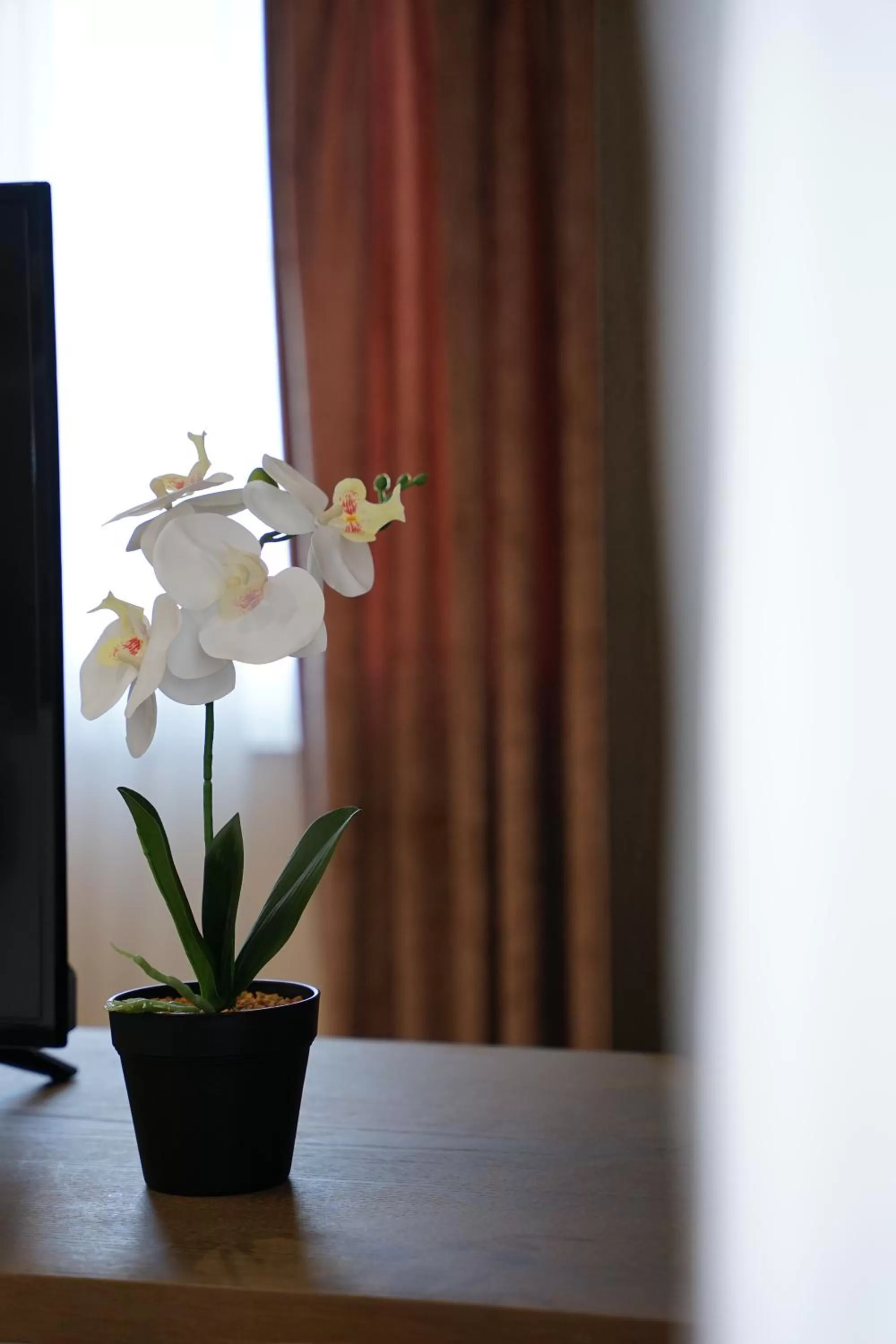 Decorative detail in Doanesia Premium Hotel & Spa