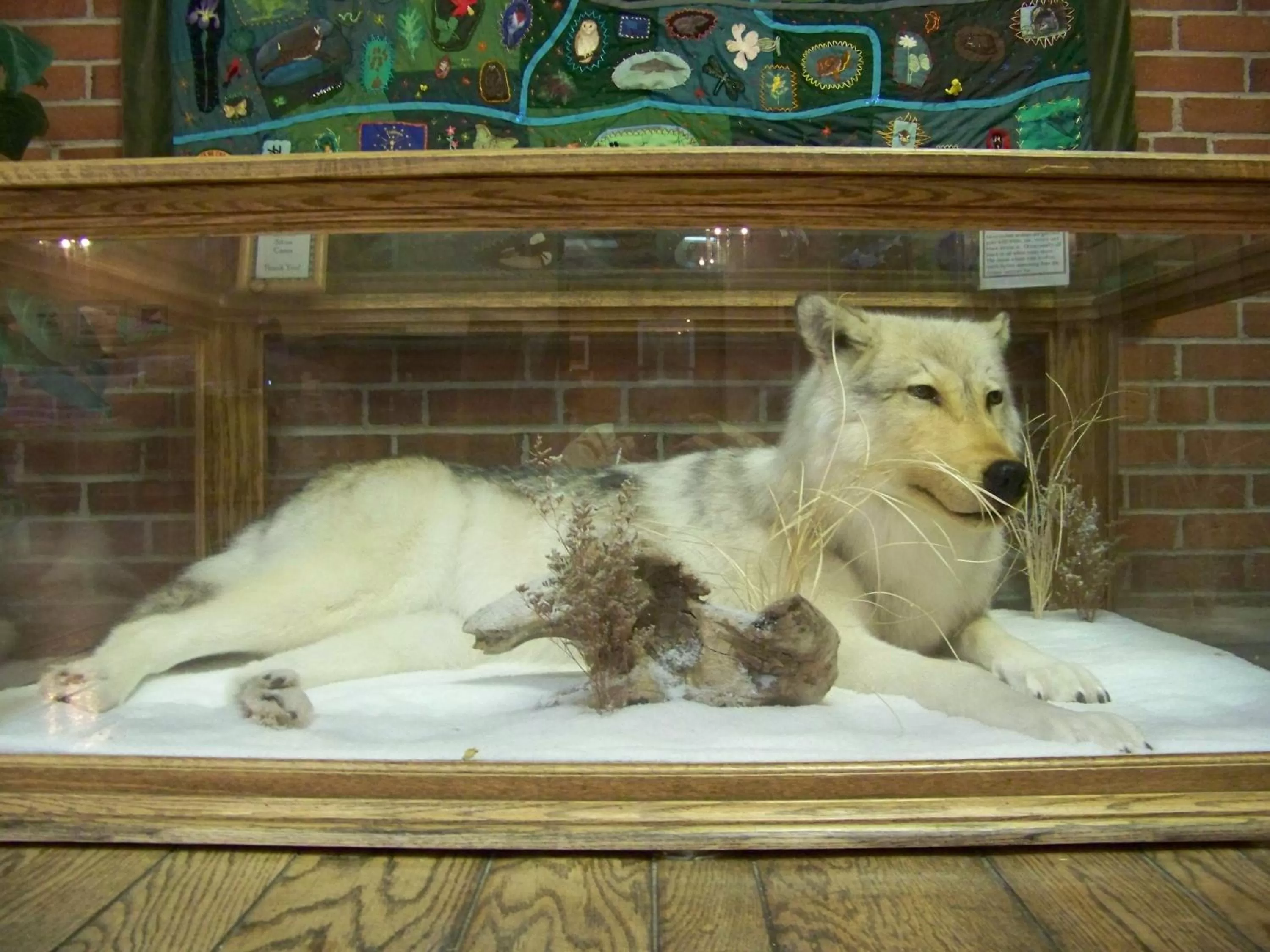 Decorative detail, Pets in Clifty Inn