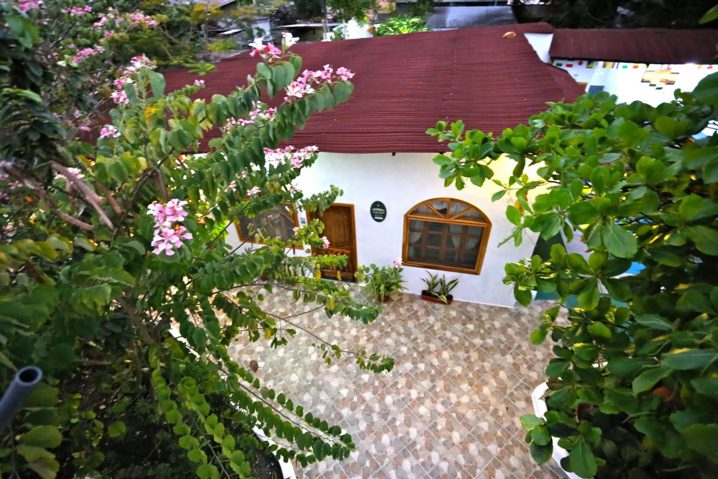 Property building, Facade/Entrance in The Galapagos Pearl B&B