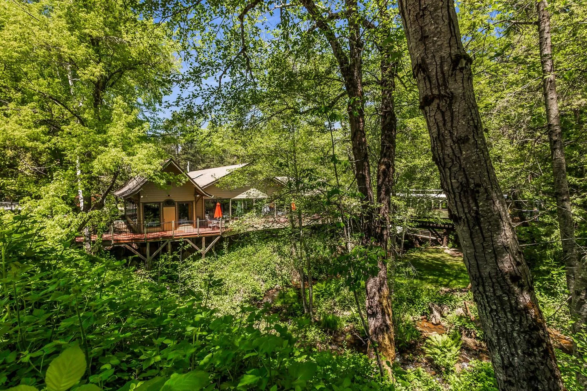 View (from property/room) in Northern Queen Inn