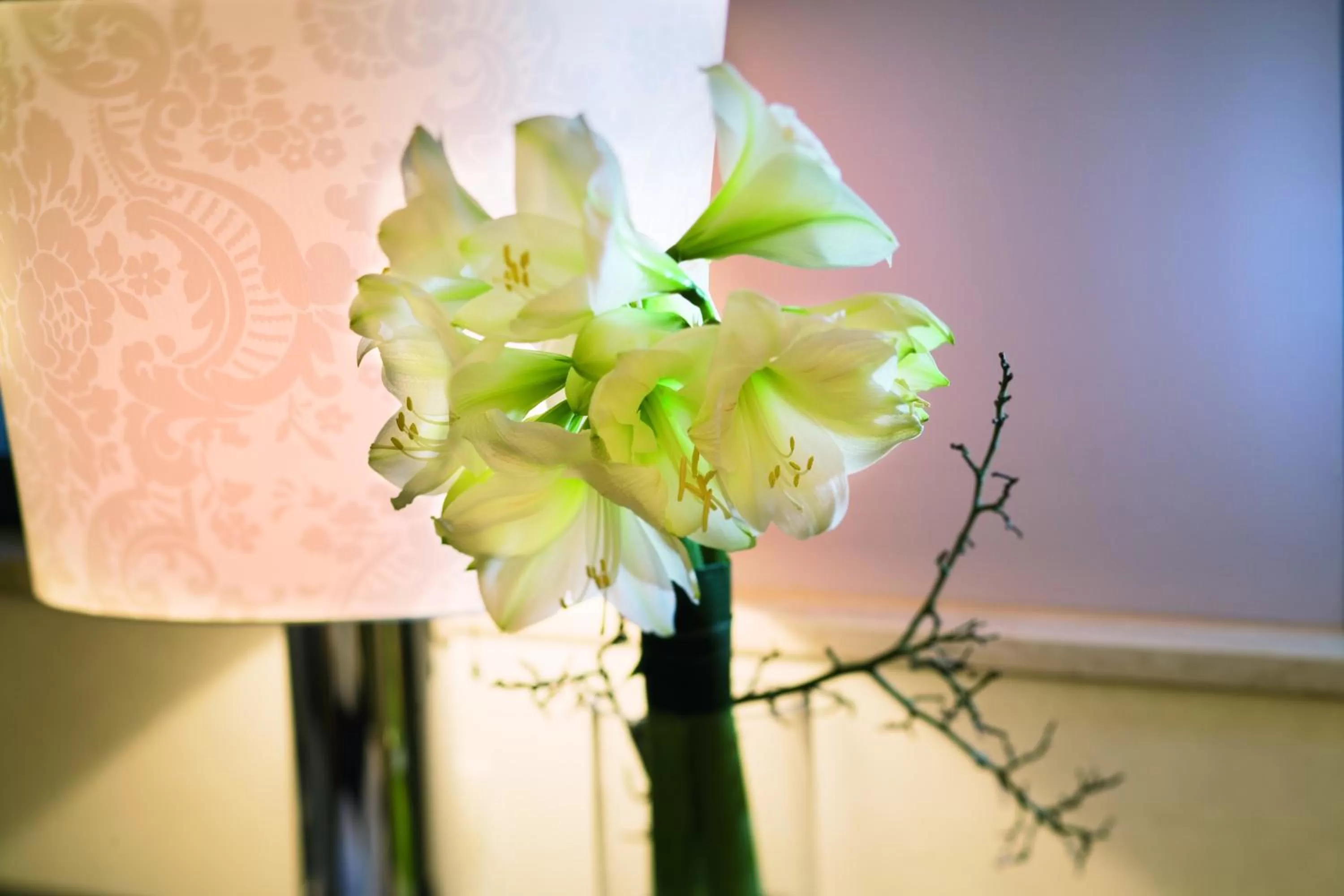 Other in MÖVENPICK Hotel Hamburg City