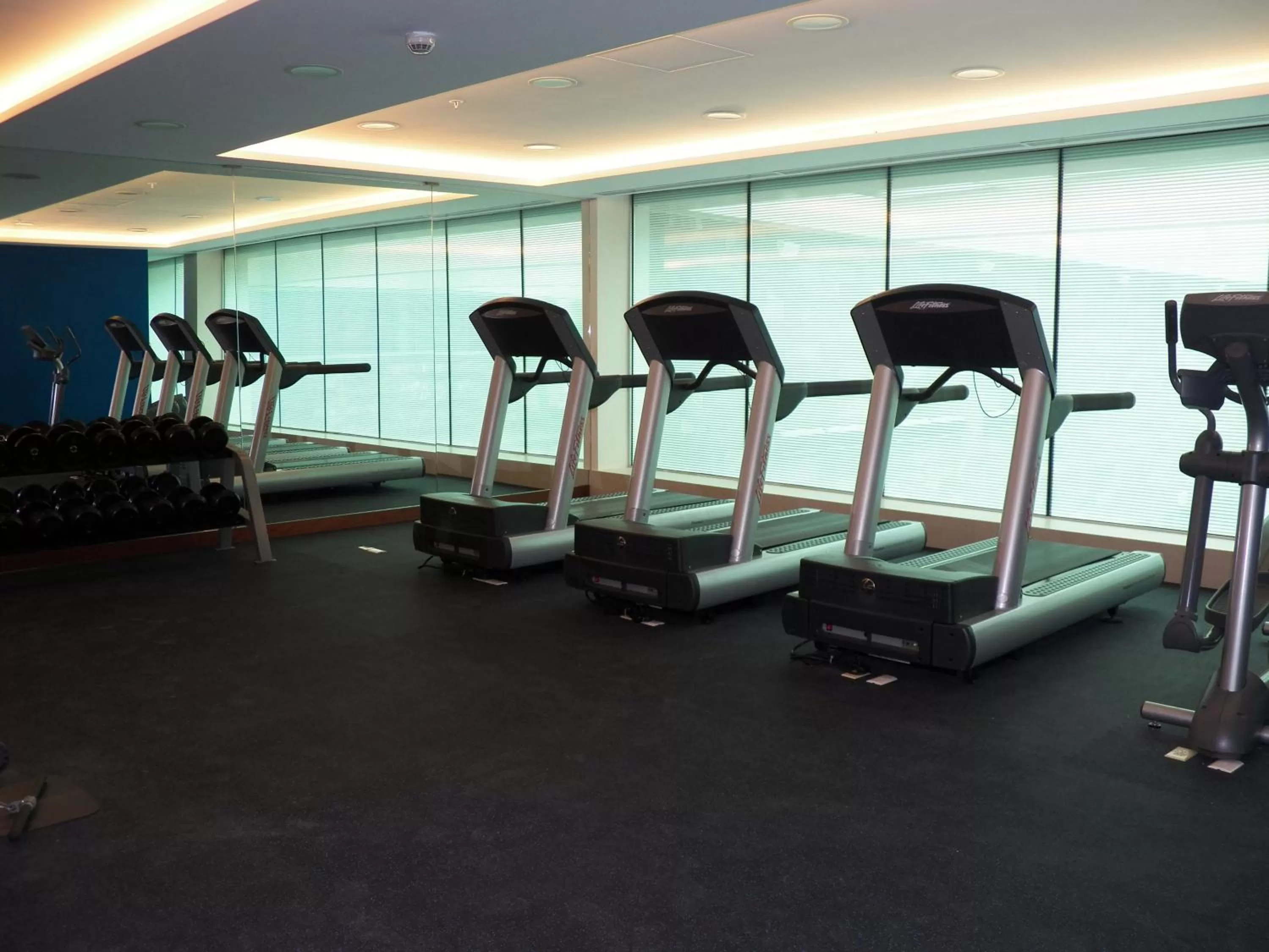 Fitness centre/facilities in Holiday Inn & Suites Plaza Mayor by IHG