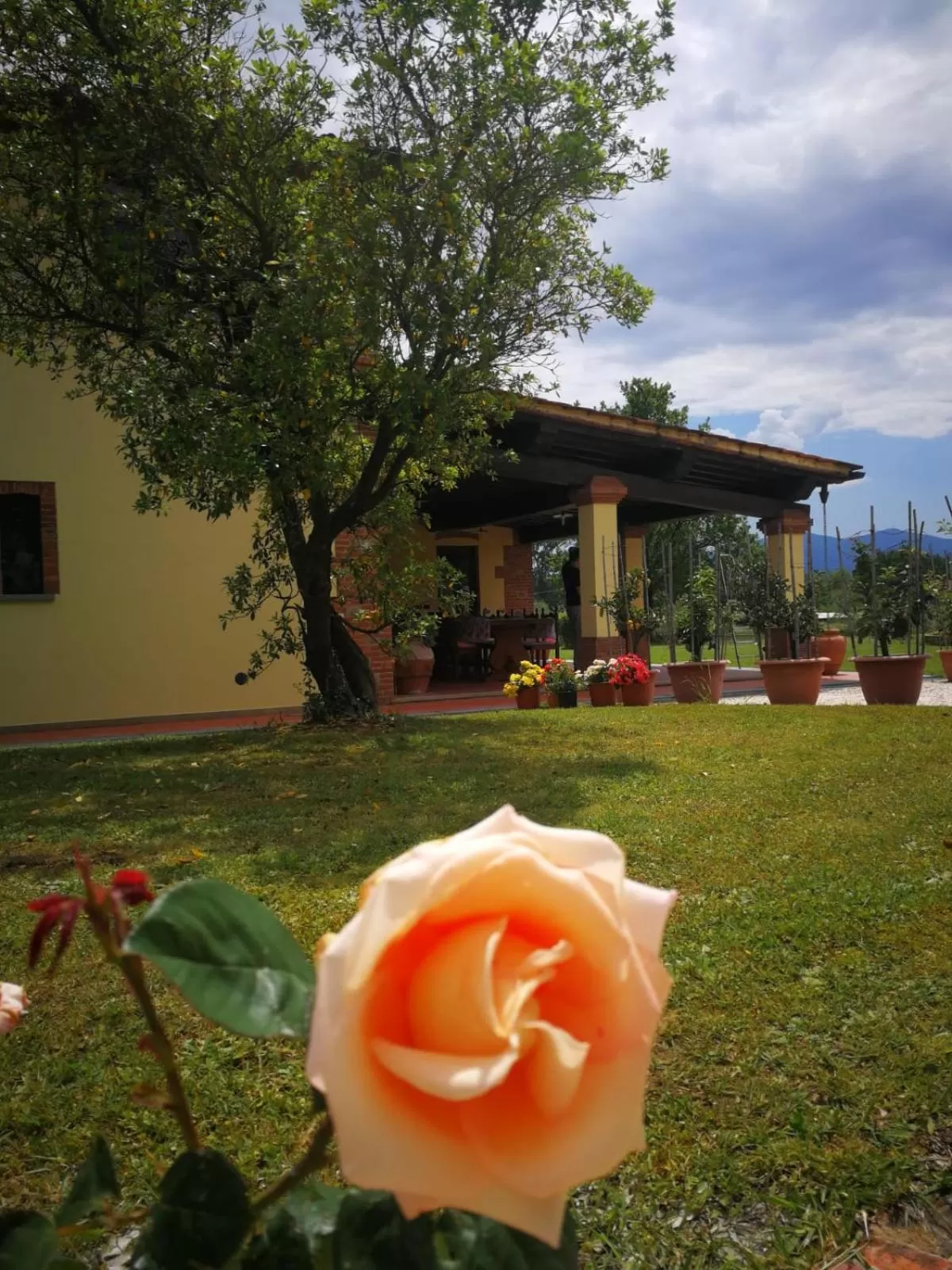 Spring in B&B La Fornace del Sole