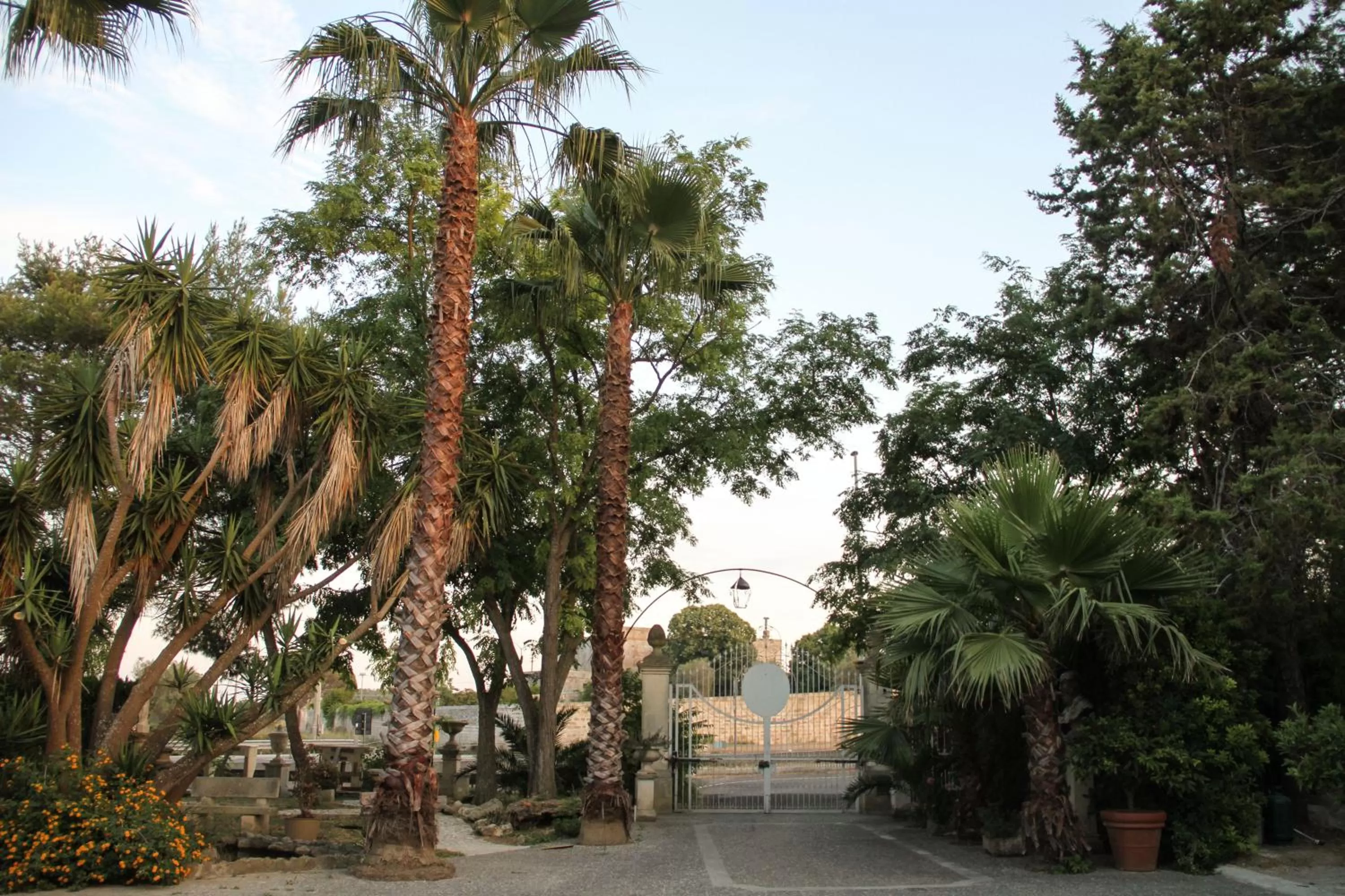 Property building in B&B Scipponate