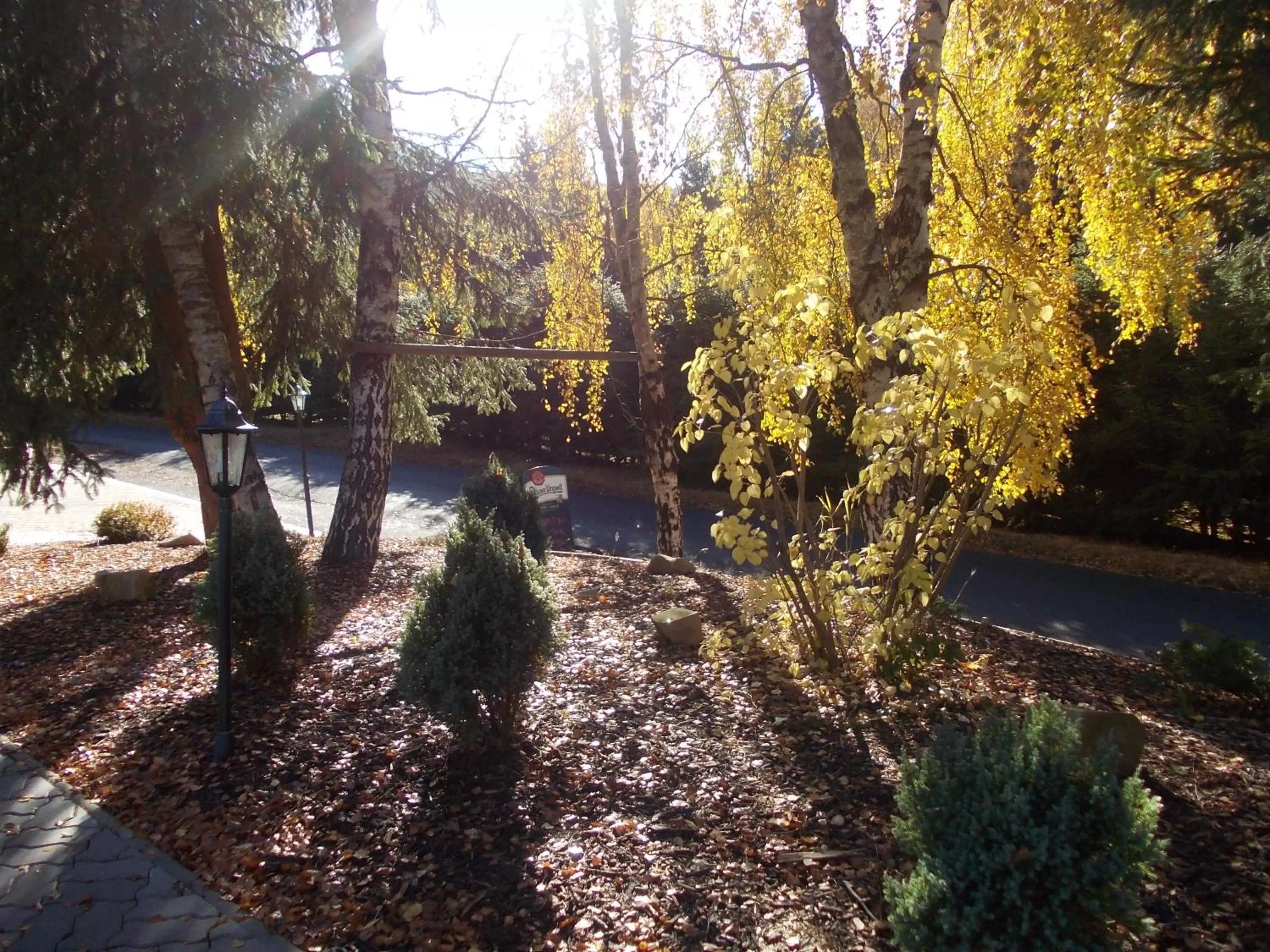 Garden, Pool View in Pension U Jelinka