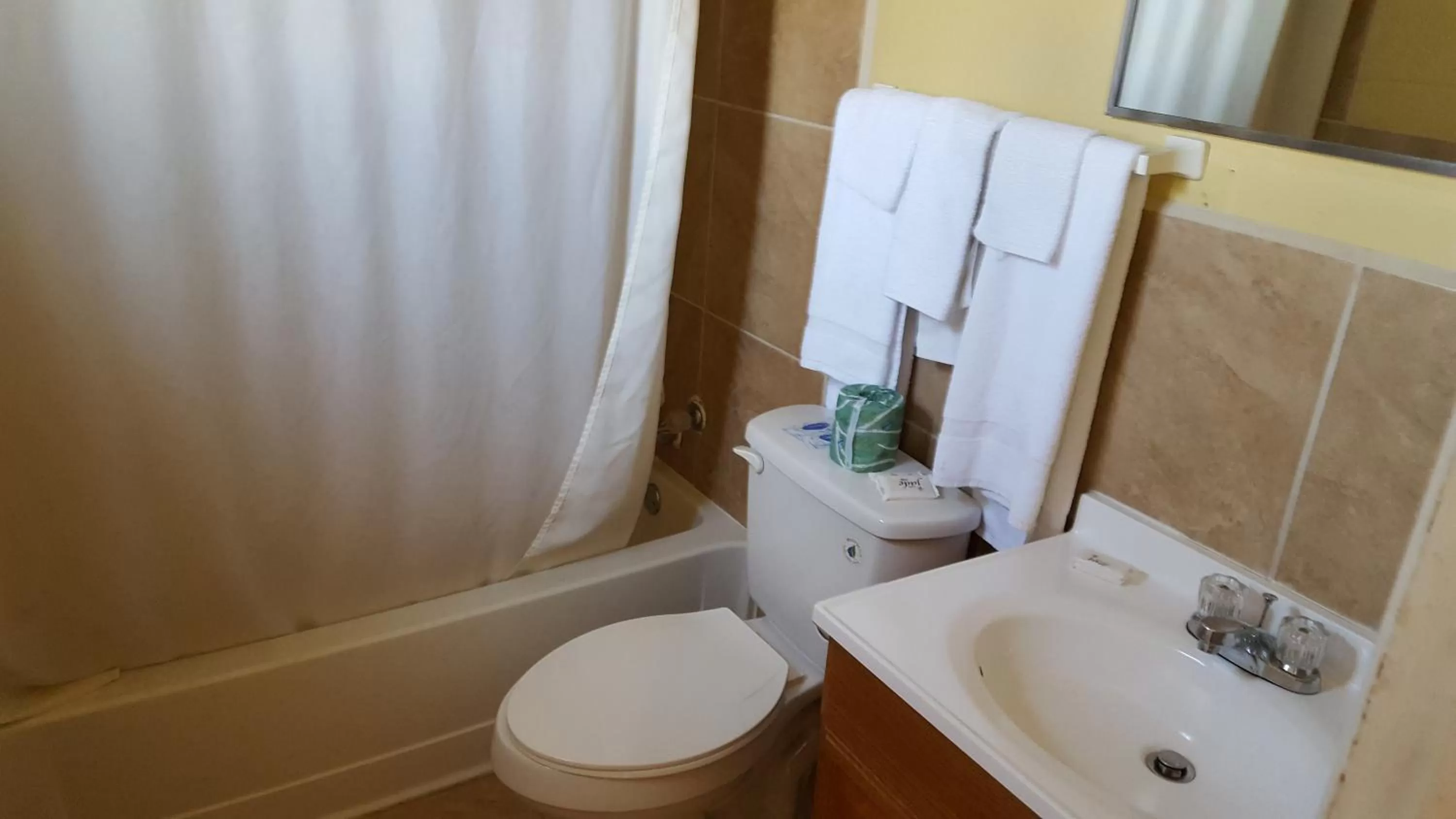 Queen Room in Sands Motel