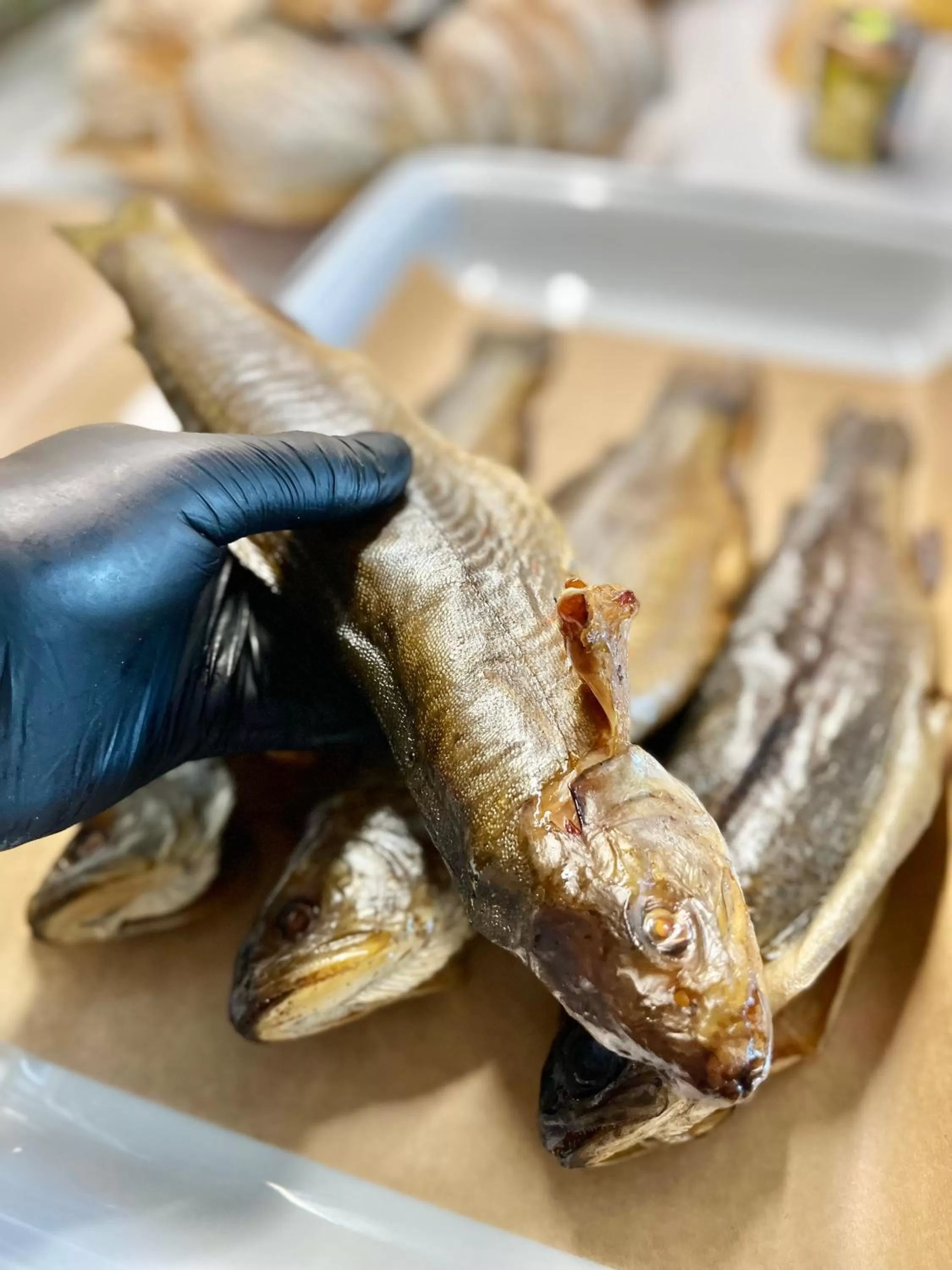 Other Animals in Zielona Weranda