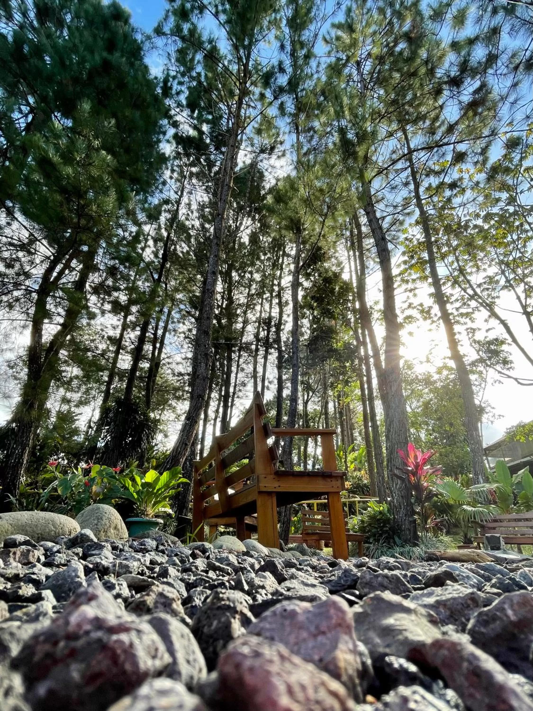 Garden in Vista Turrialba Lodge