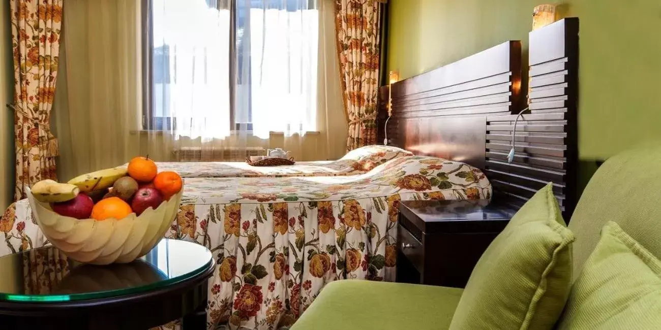 Budget Double Room in Hotel Bansko SPA & Holidays - Free Parking Budget Double Room in Hotel Bansko SPA & Holidays - Free Parking